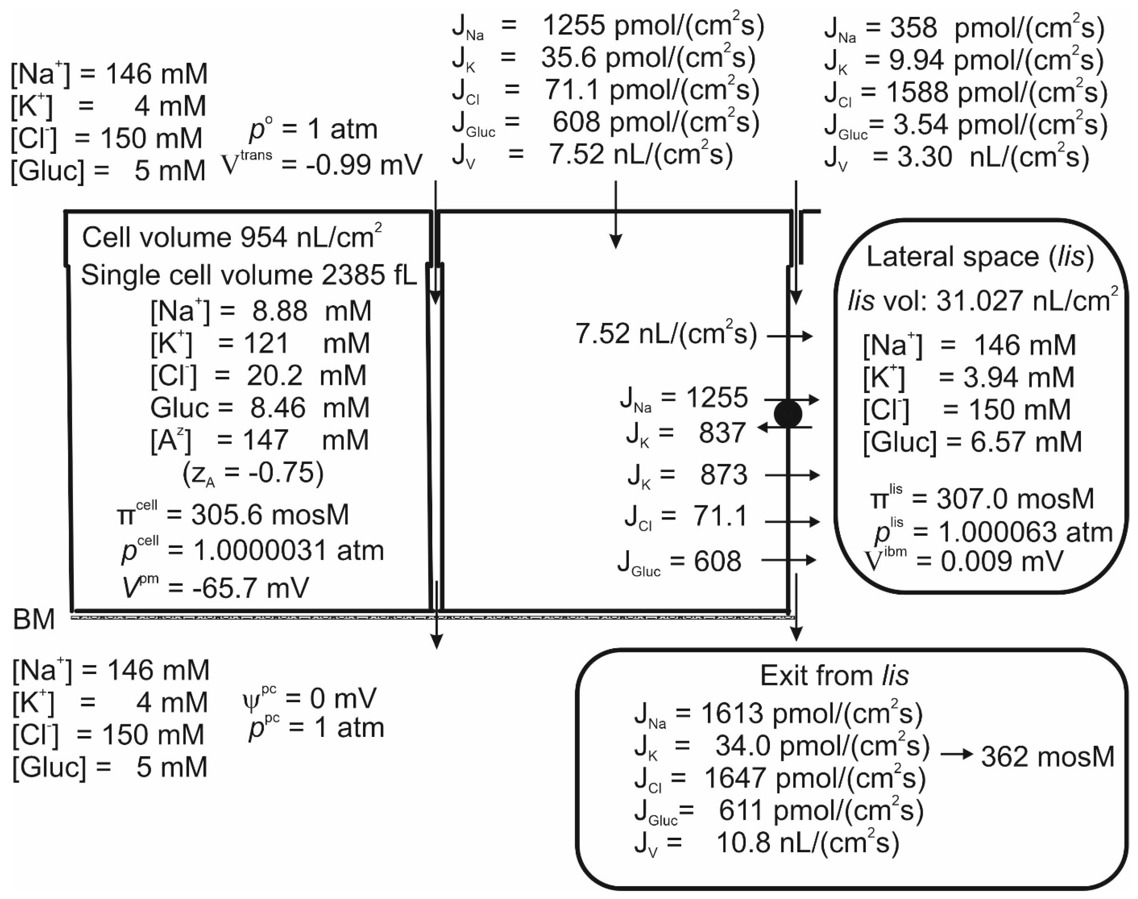 Biomolecules 14 00889 g002