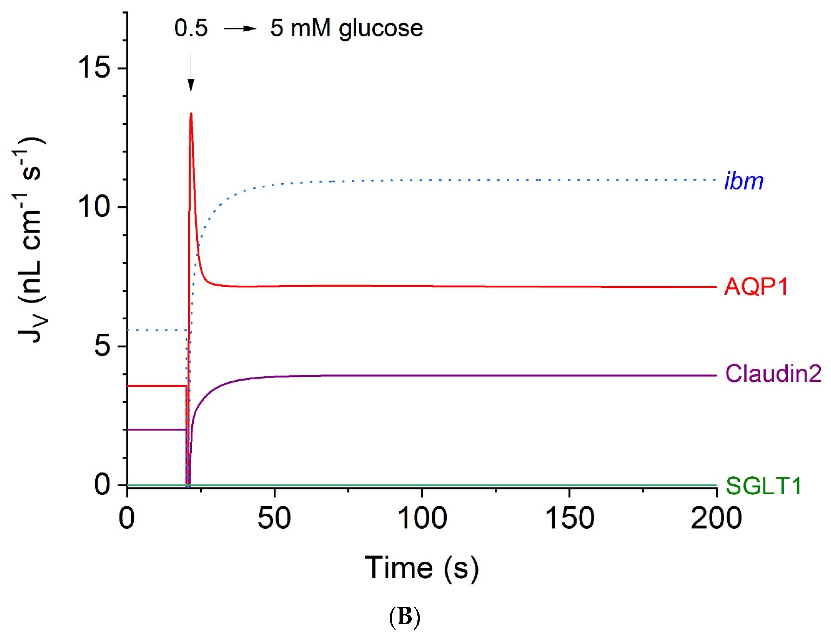 Biomolecules 14 00889 g004b
