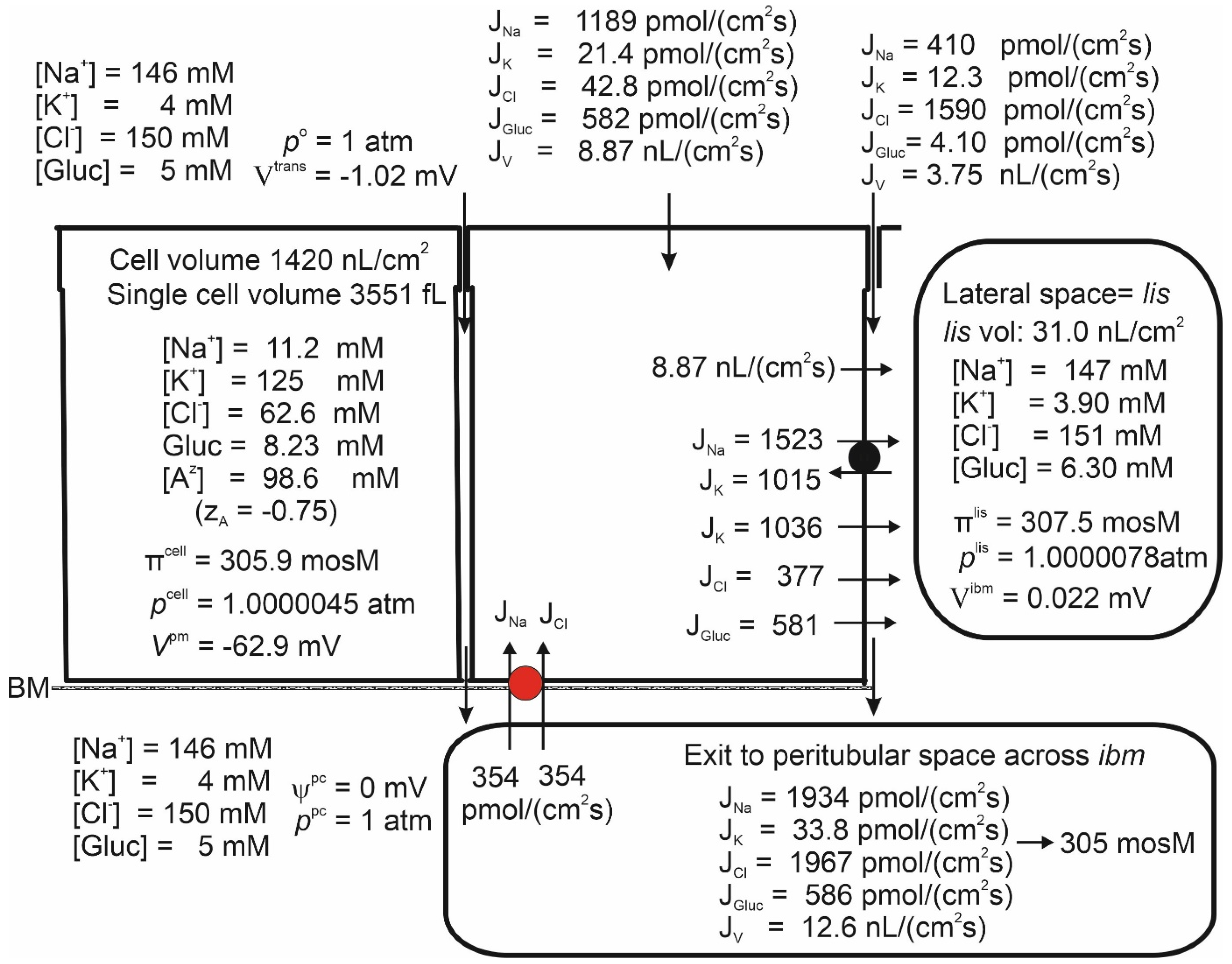 Biomolecules 14 00889 g005