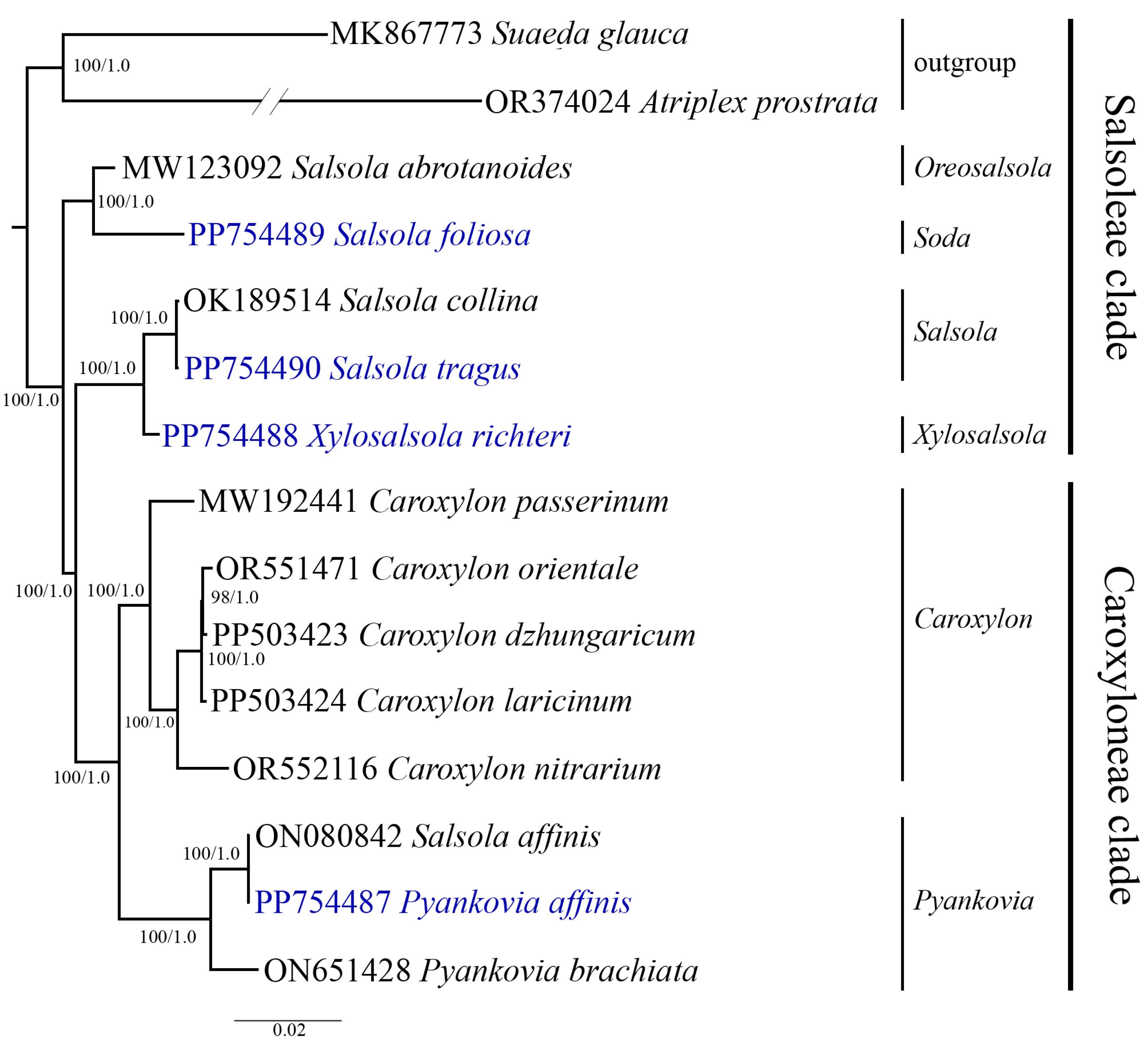 Biomolecules 14 00890 g007 Biomolecules 14 00890 g007