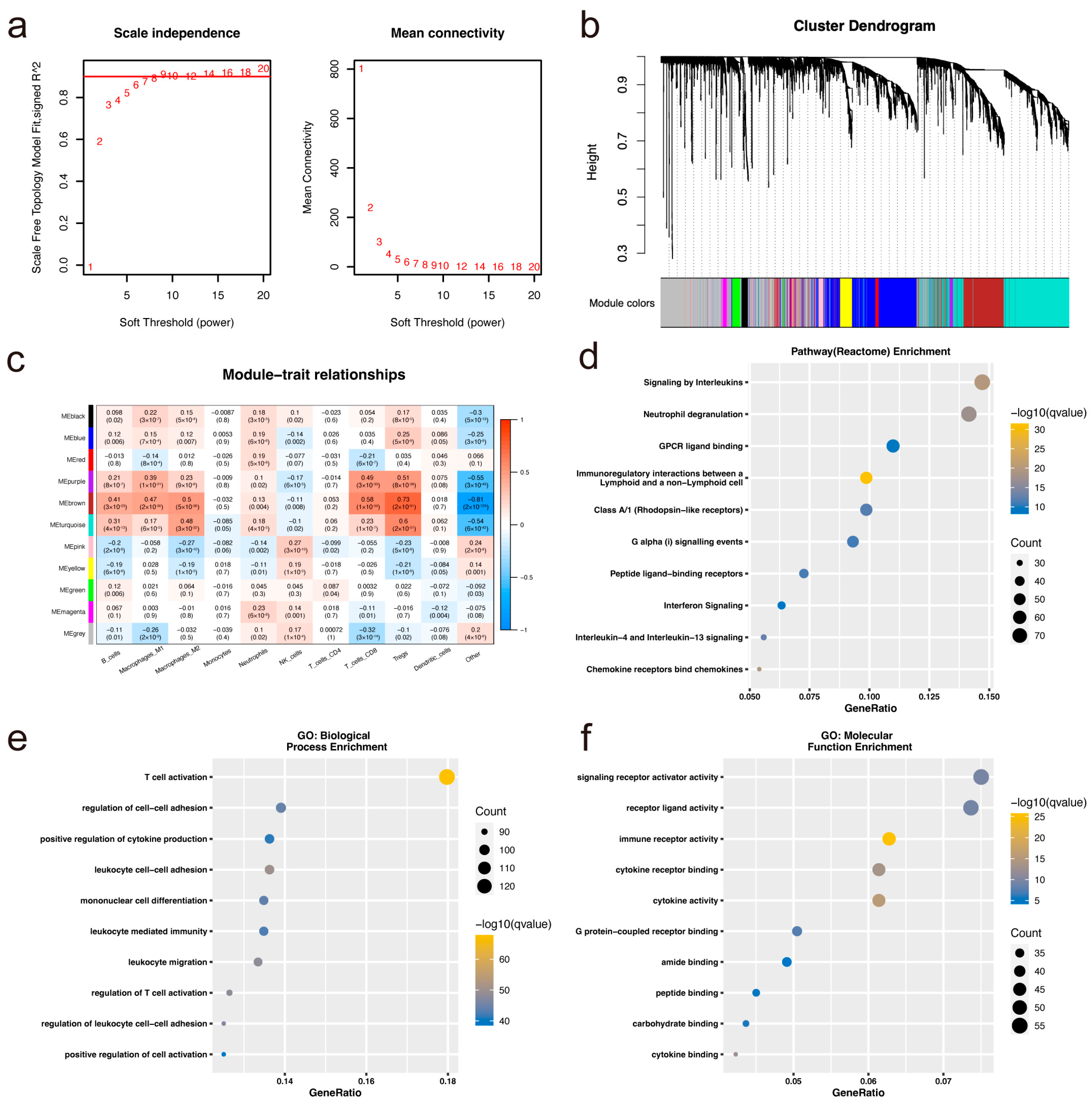 Biomolecules 14 00891 g001