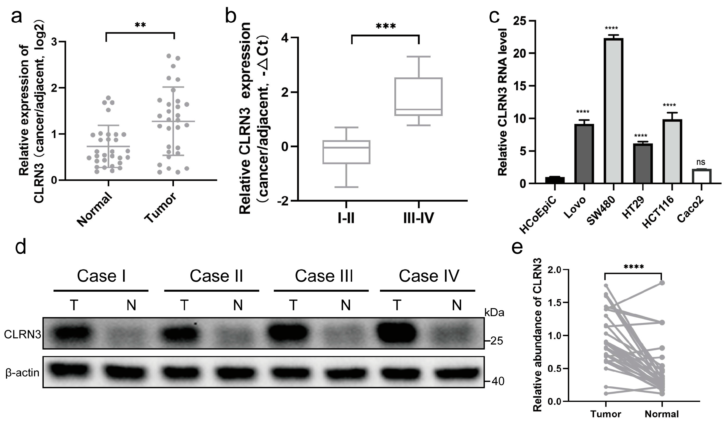 Biomolecules 14 00891 g006