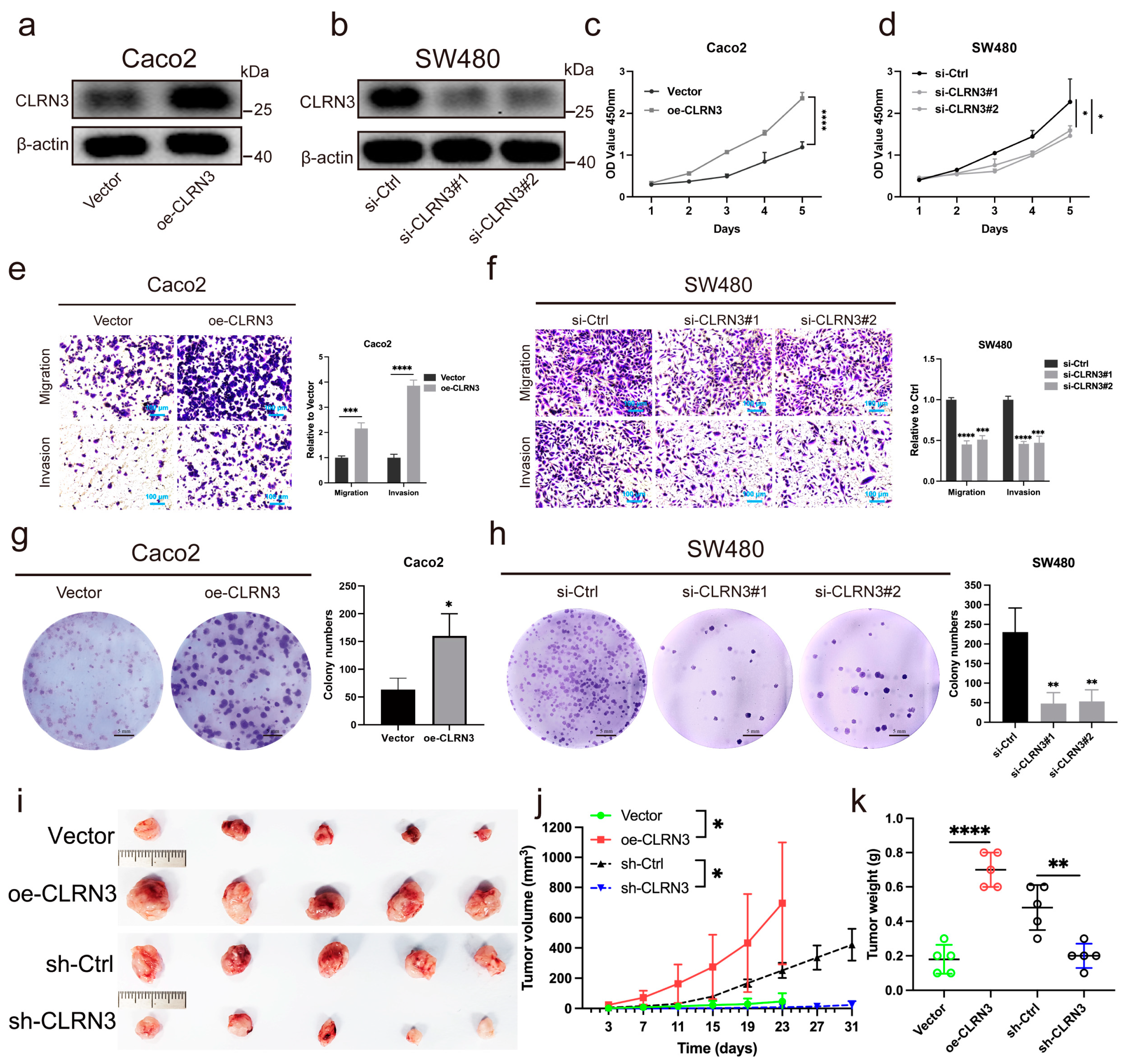 Biomolecules 14 00891 g007