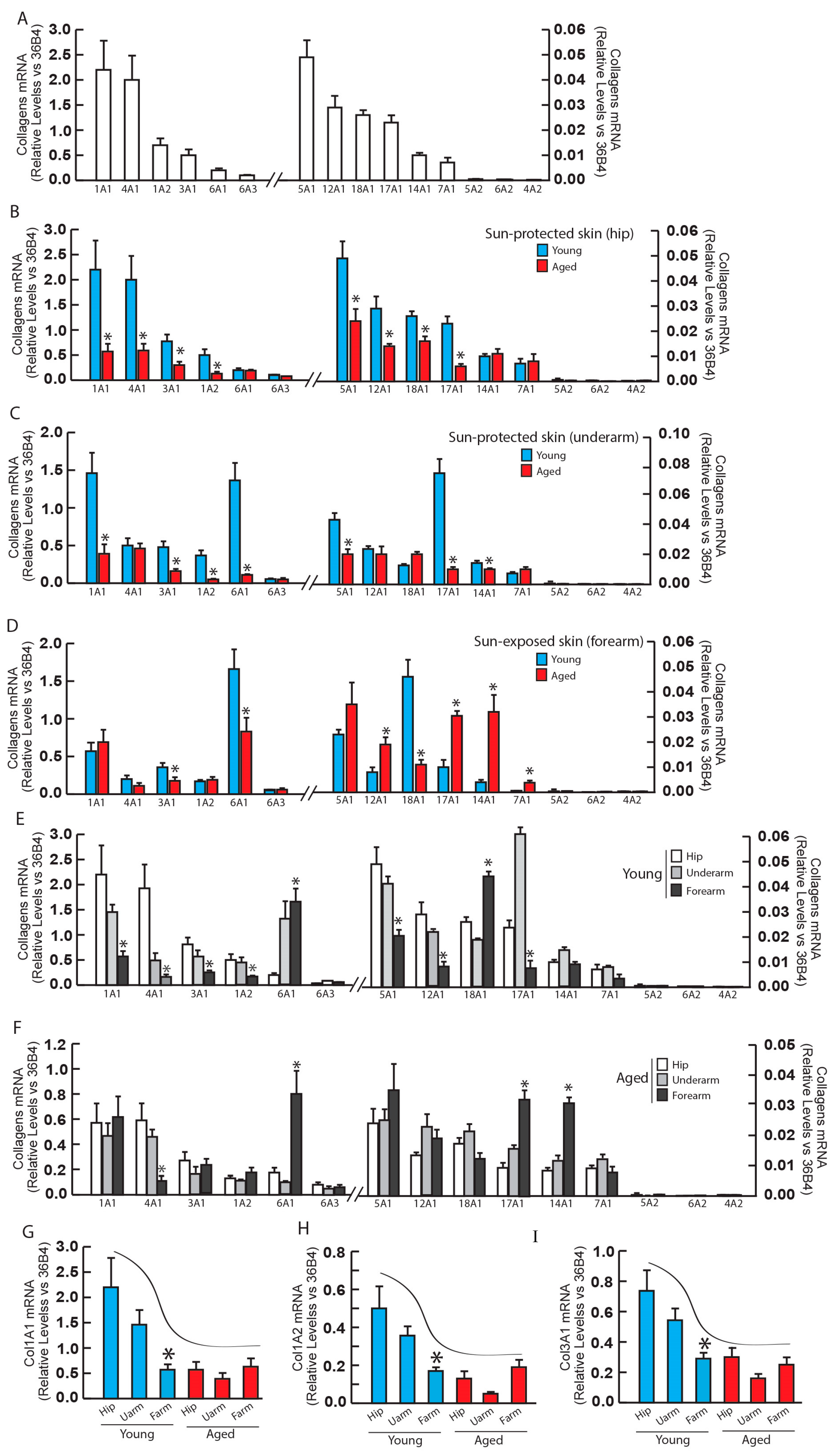 Biomolecules 14 00900 g001