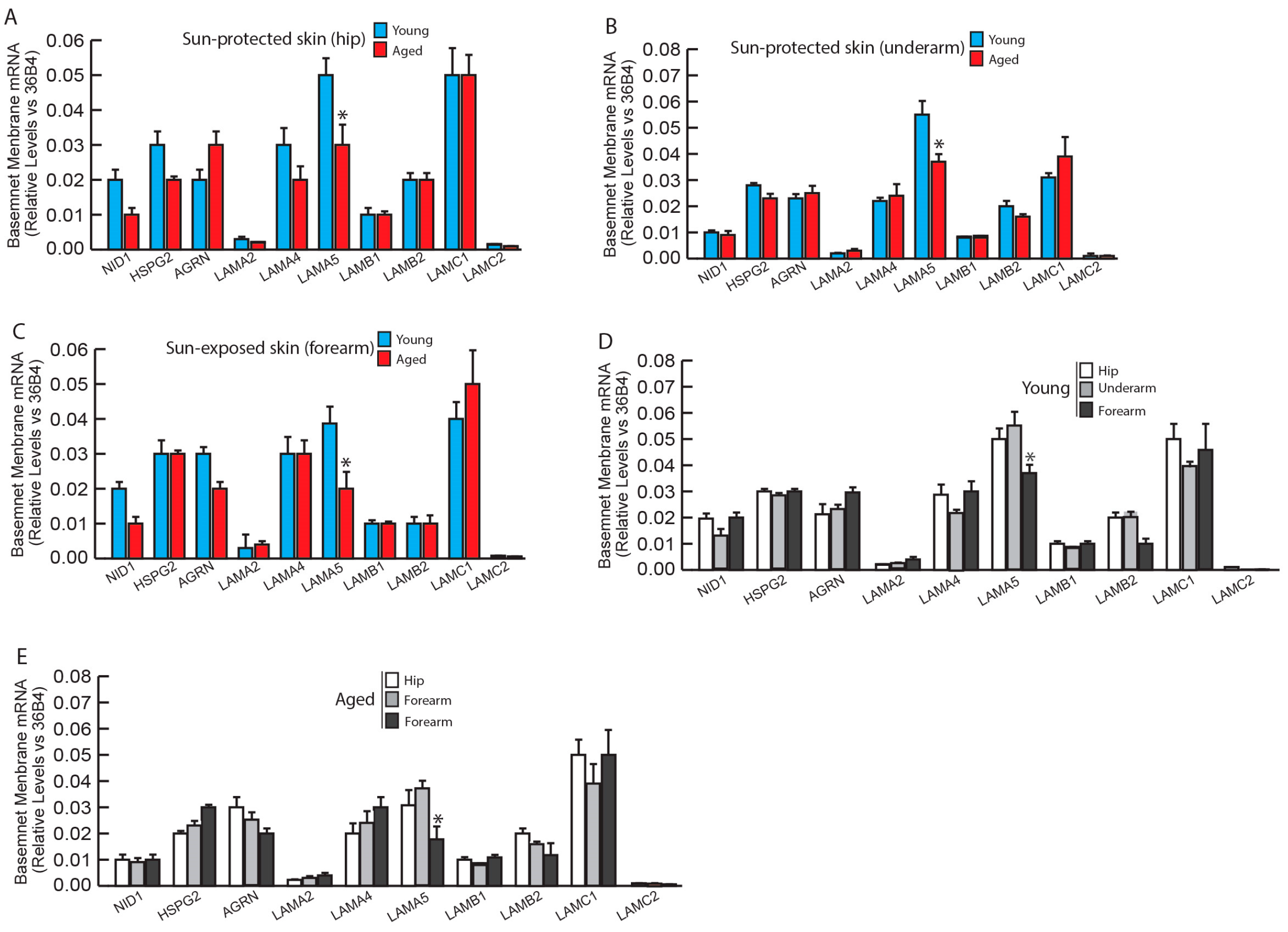 Biomolecules 14 00900 g004