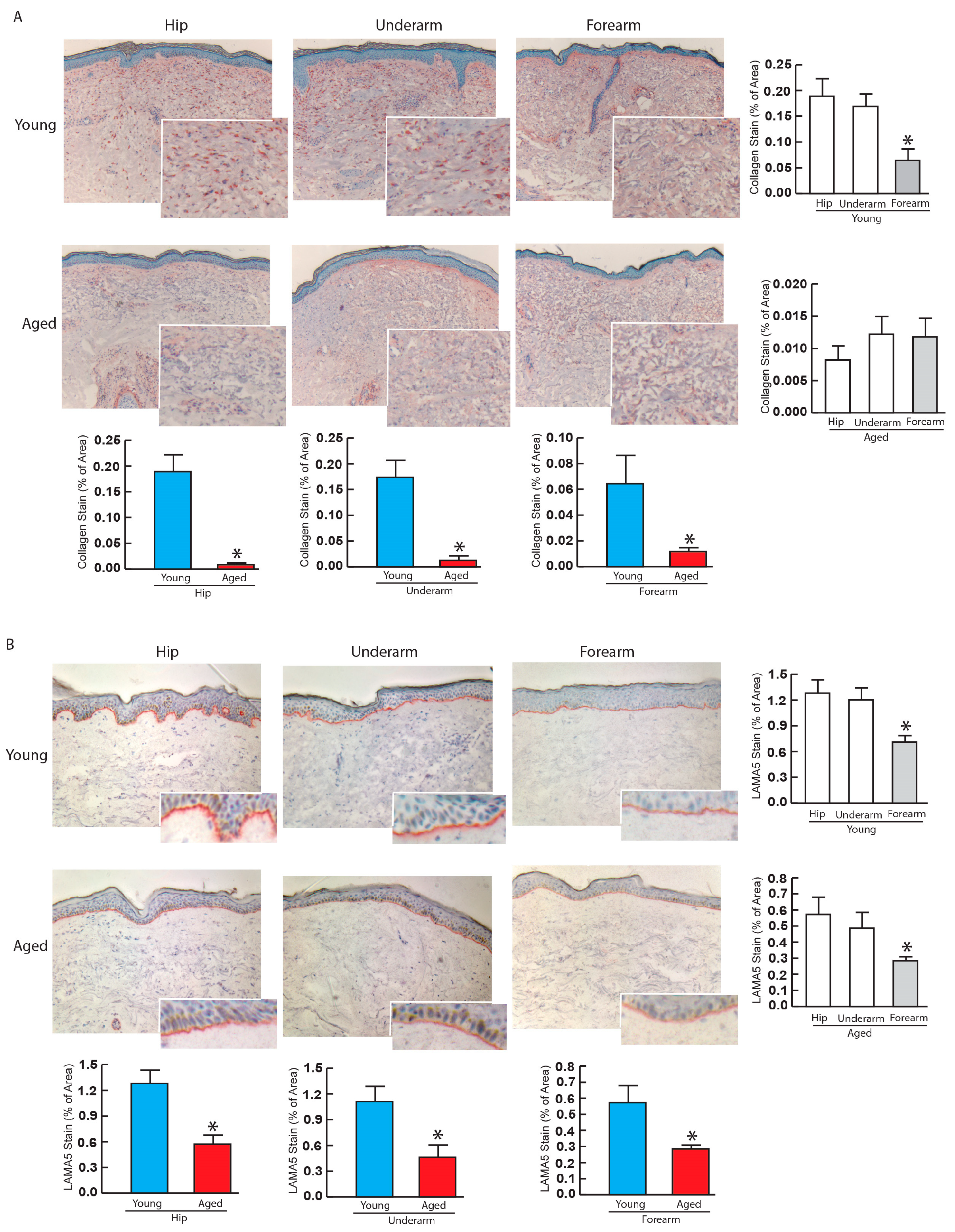 Biomolecules 14 00900 g005