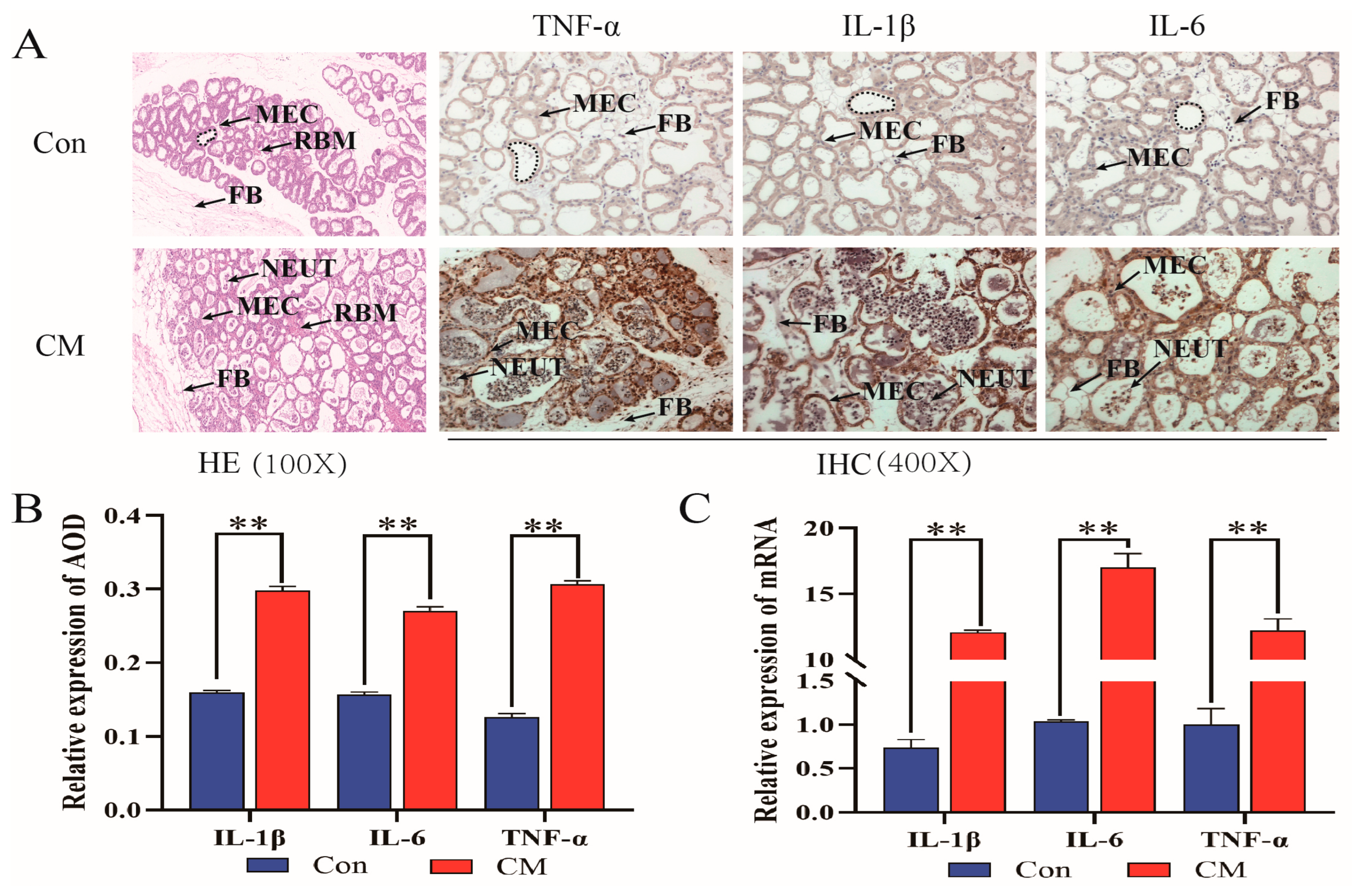 Biomolecules 14 00901 g001a