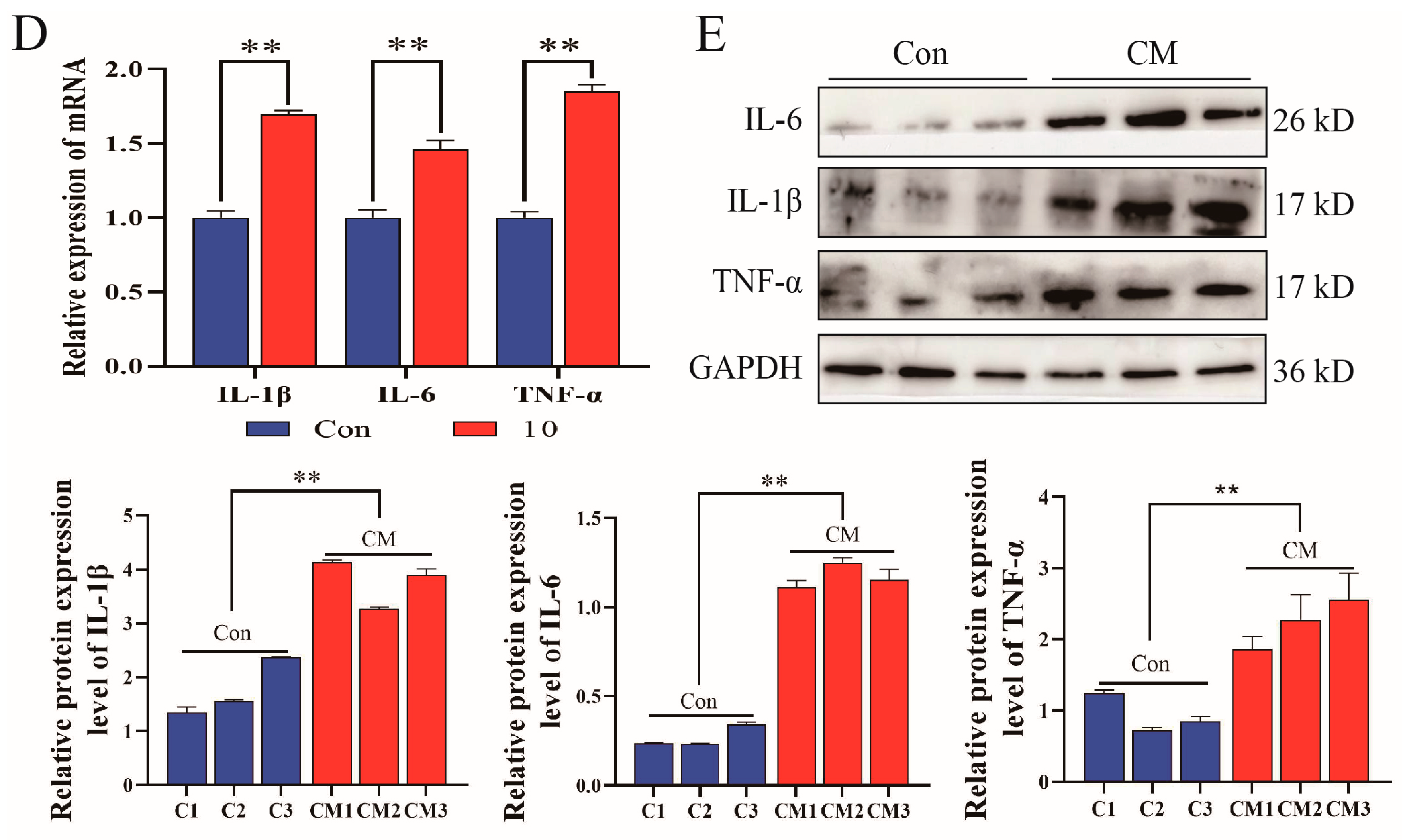 Biomolecules 14 00901 g001b