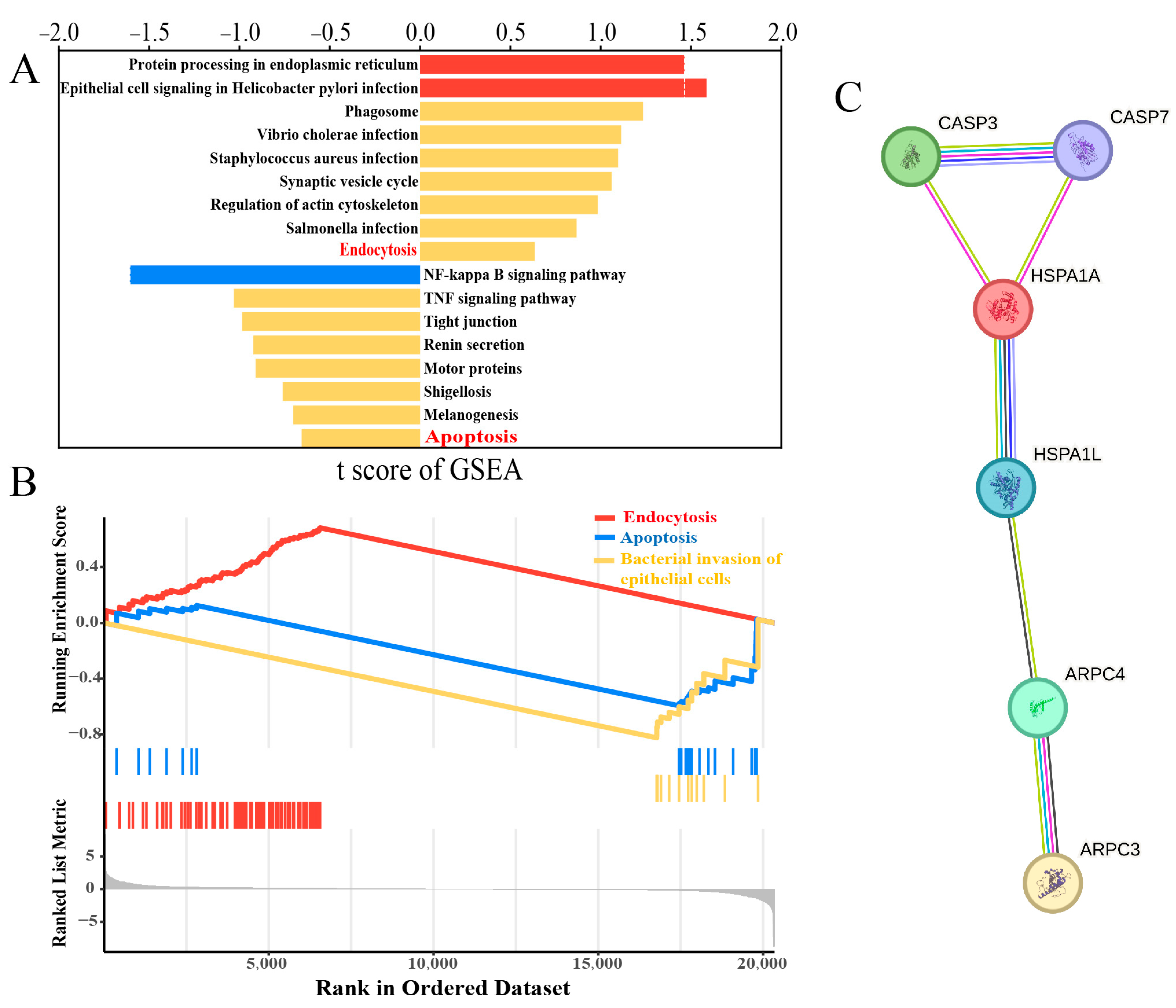 Biomolecules 14 00901 g002