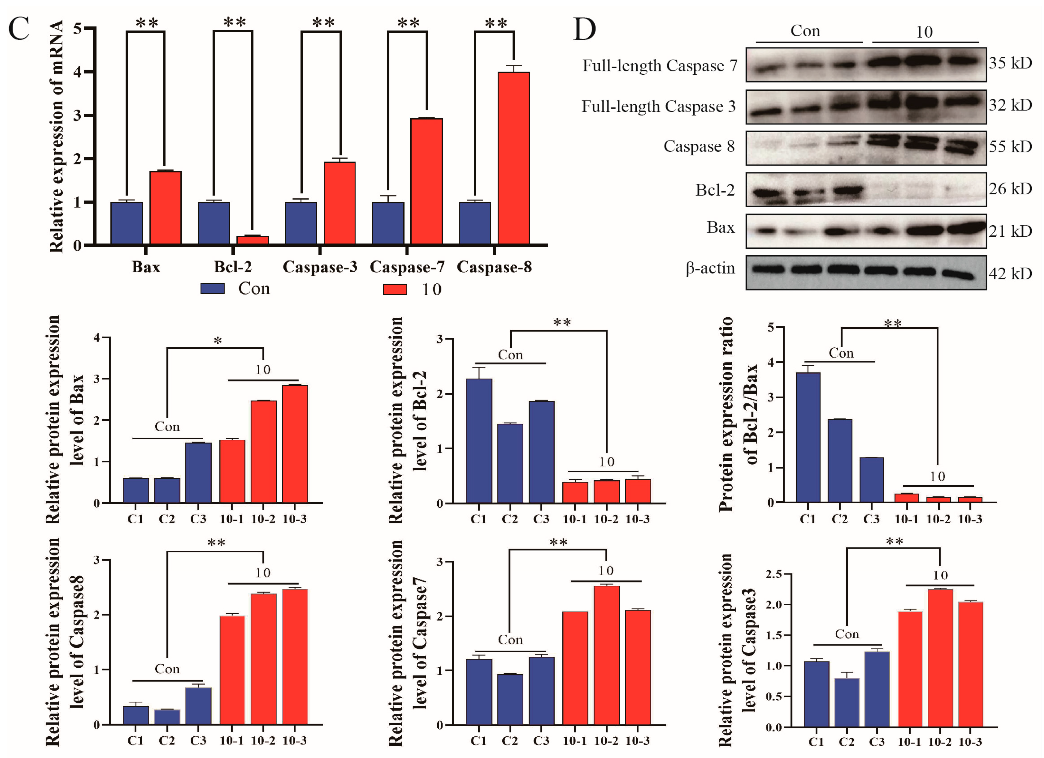 Biomolecules 14 00901 g005b