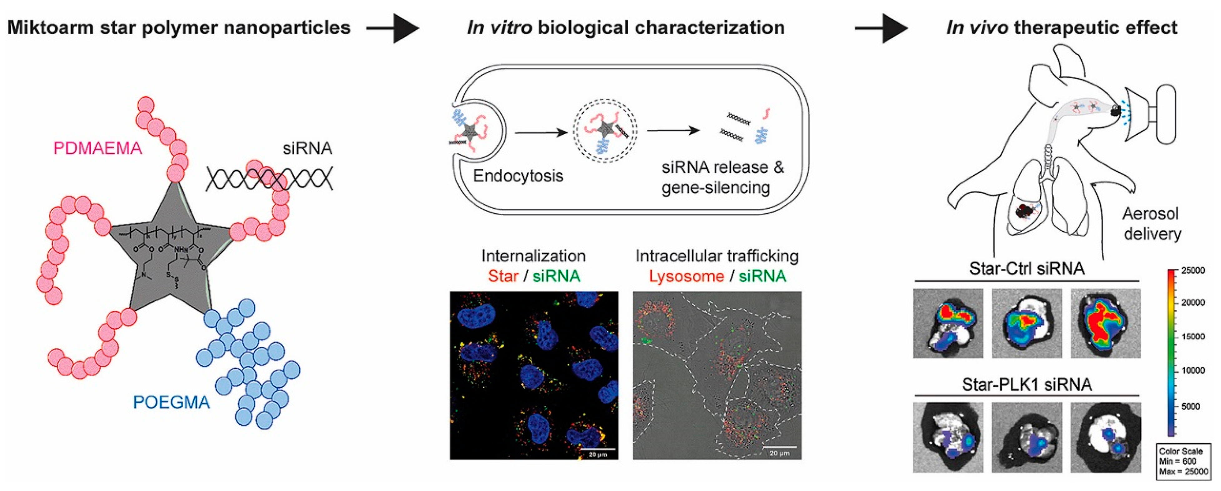 Biomolecules 14 00904 g002