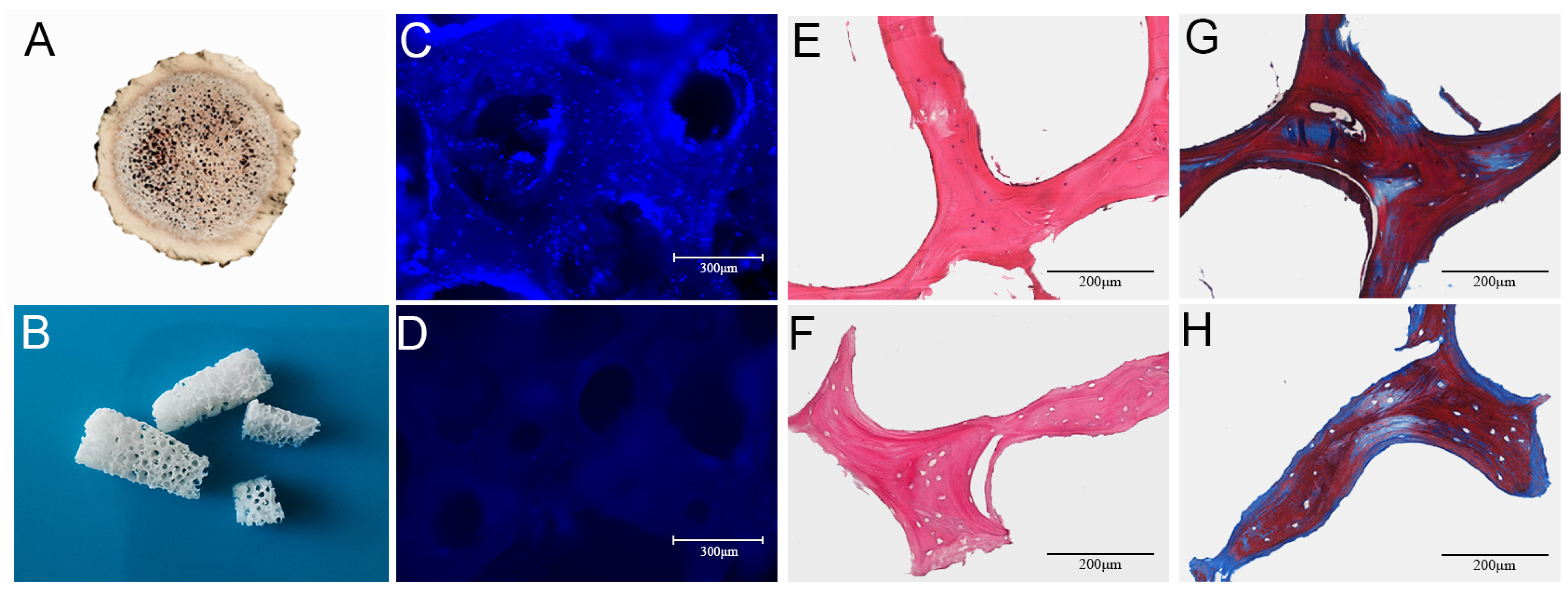 Biomolecules 14 00907 g001