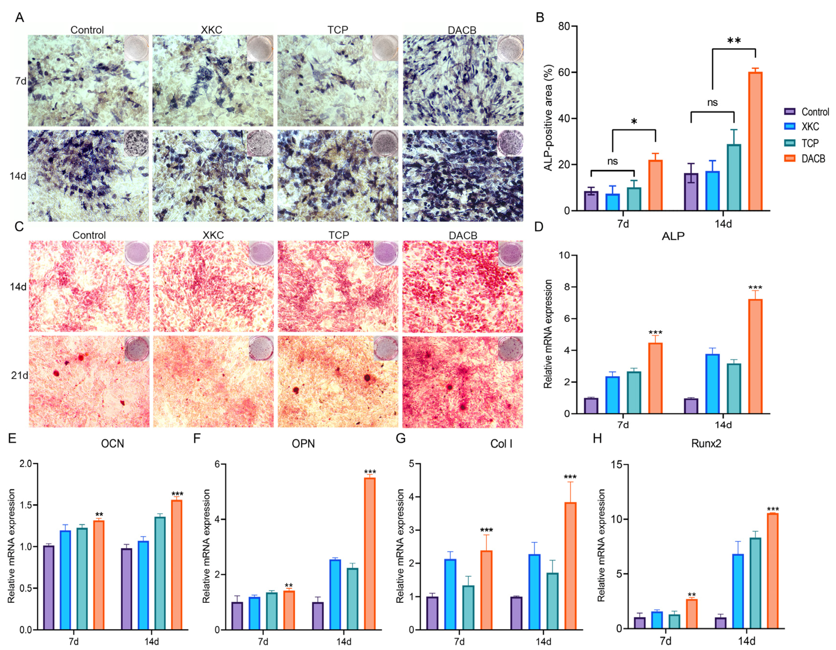 Biomolecules 14 00907 g005