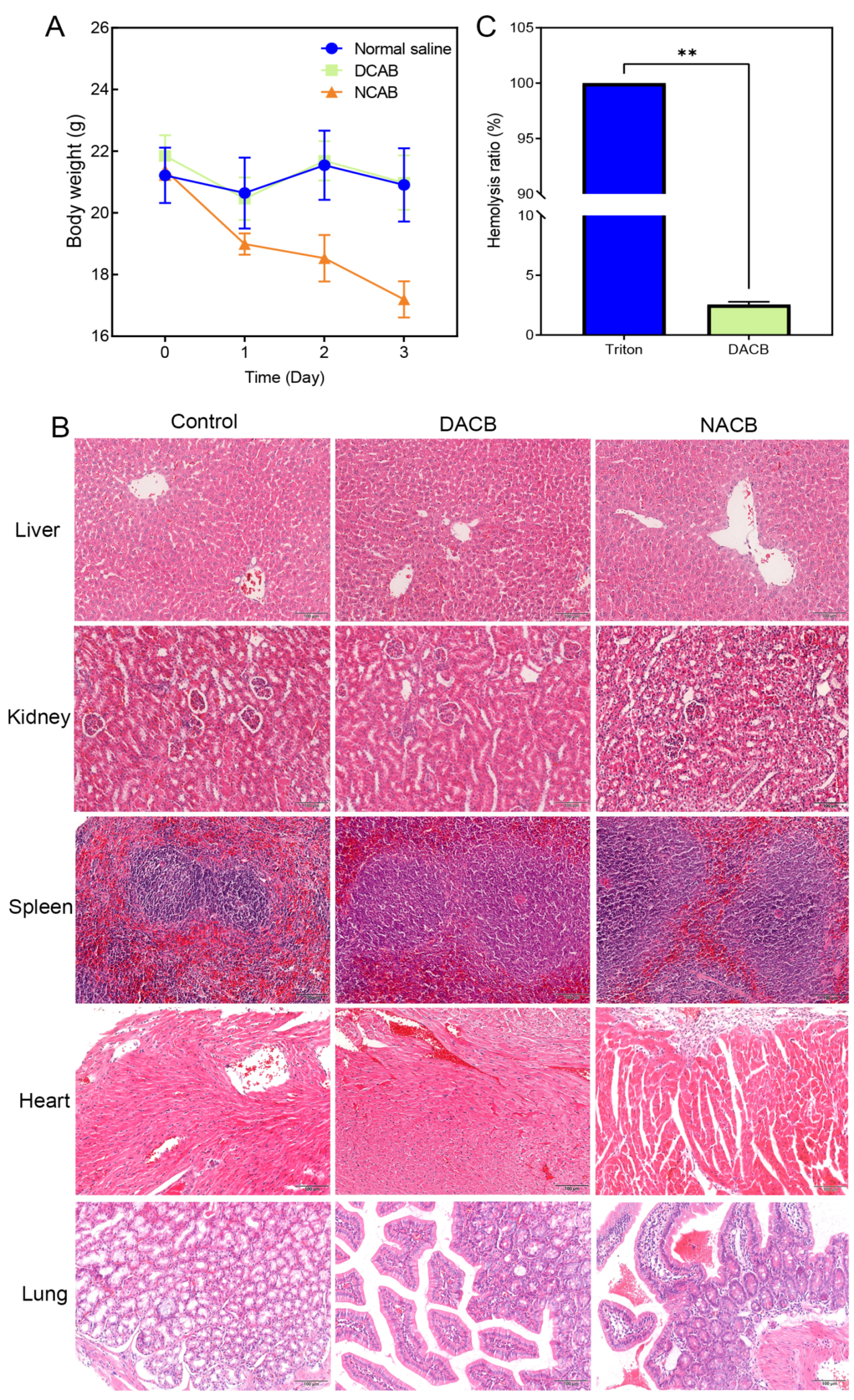 Biomolecules 14 00907 g006