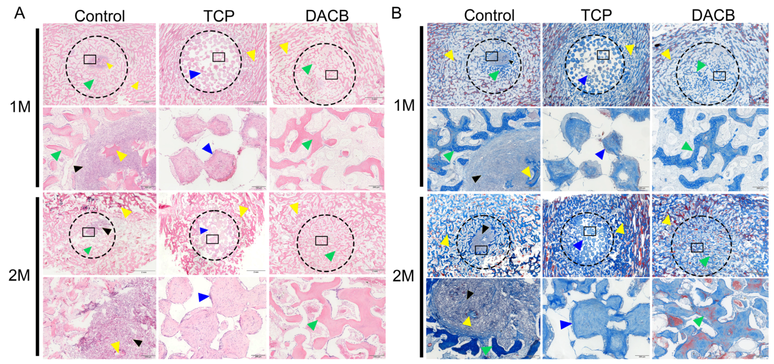 Biomolecules 14 00907 g009