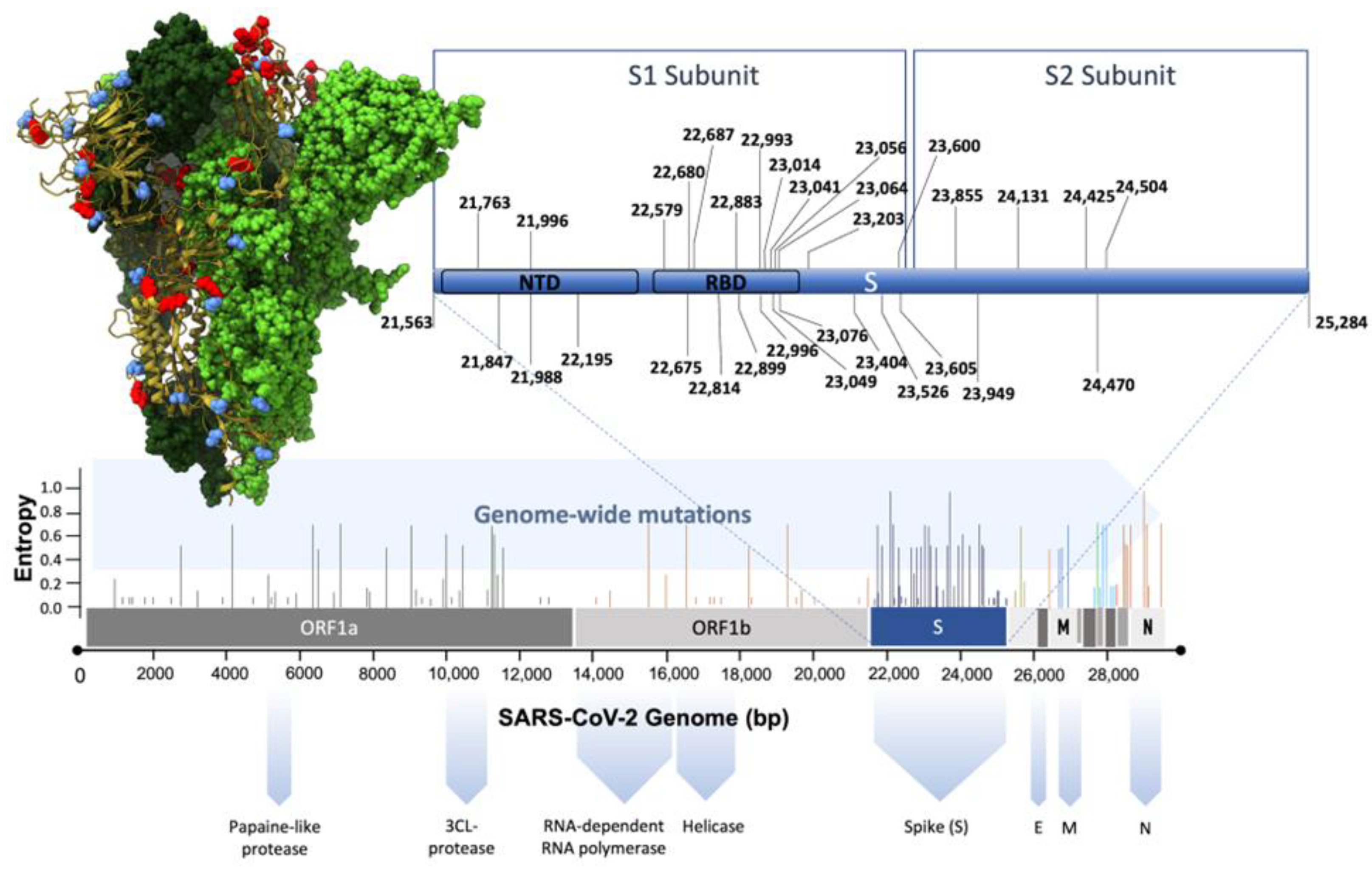 Biomolecules 14 00911 g002
