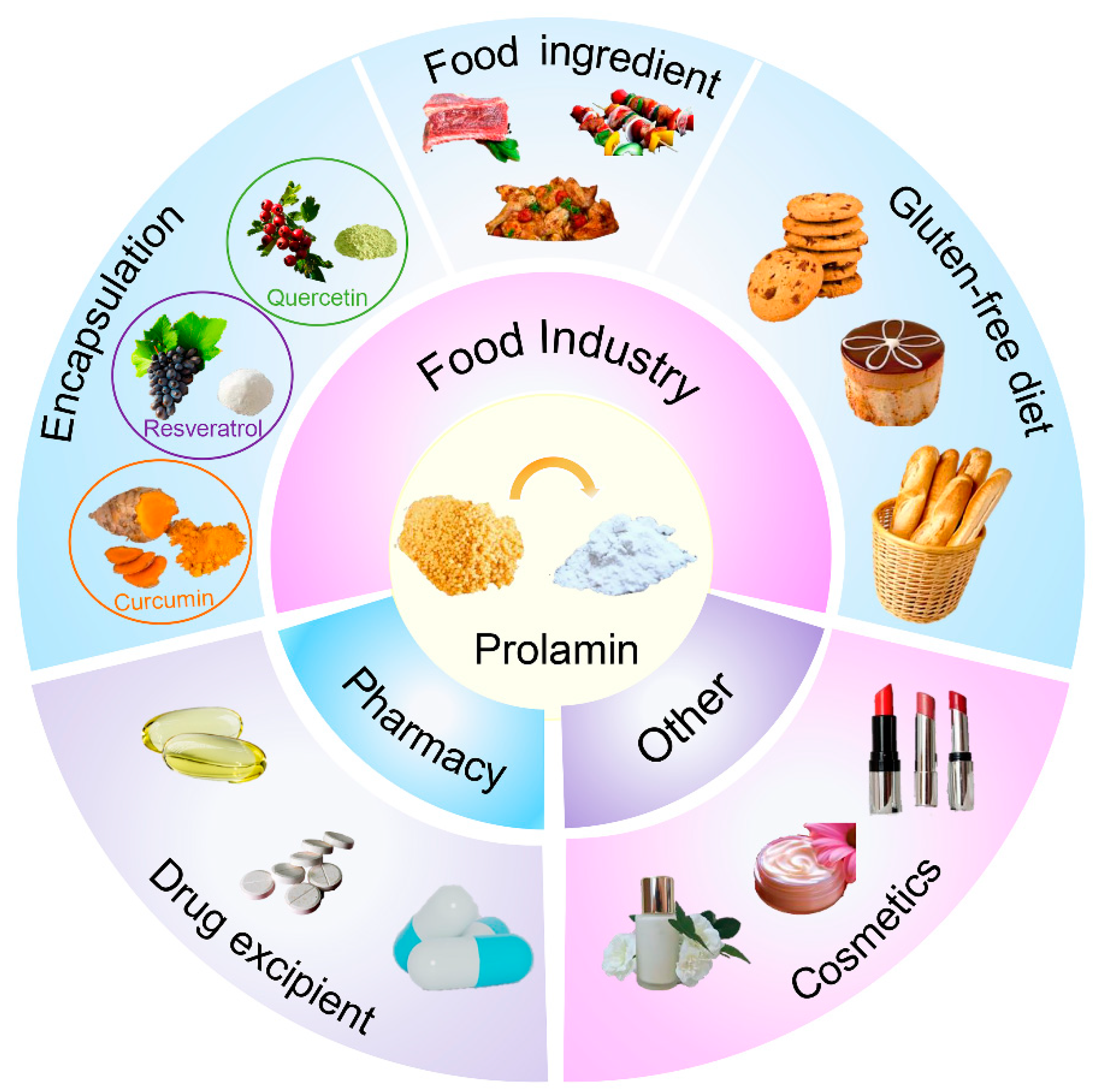 Biomolecules 14 00913 g004