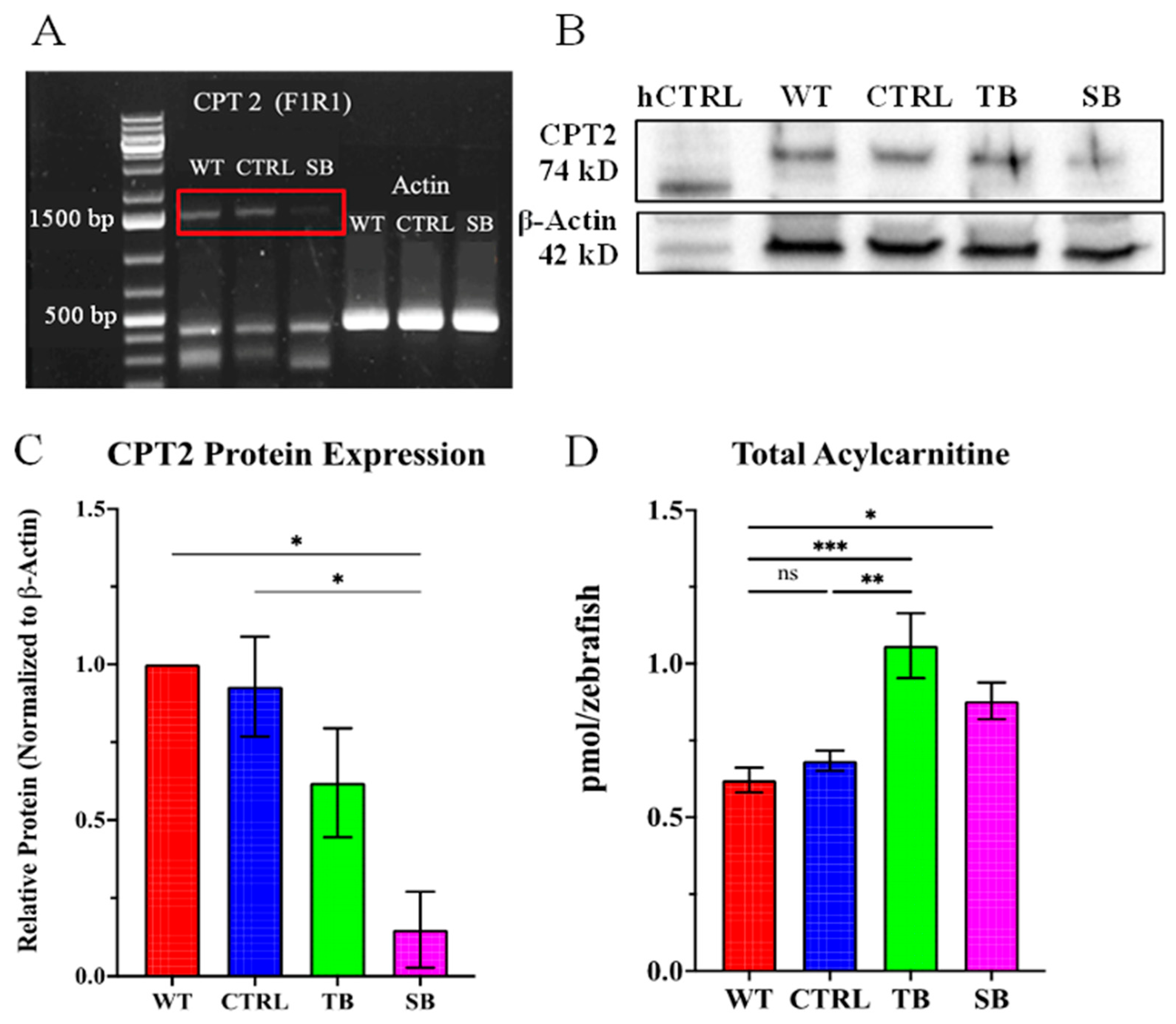 Biomolecules 14 00914 g002 Biomolecules 14 00914 g002