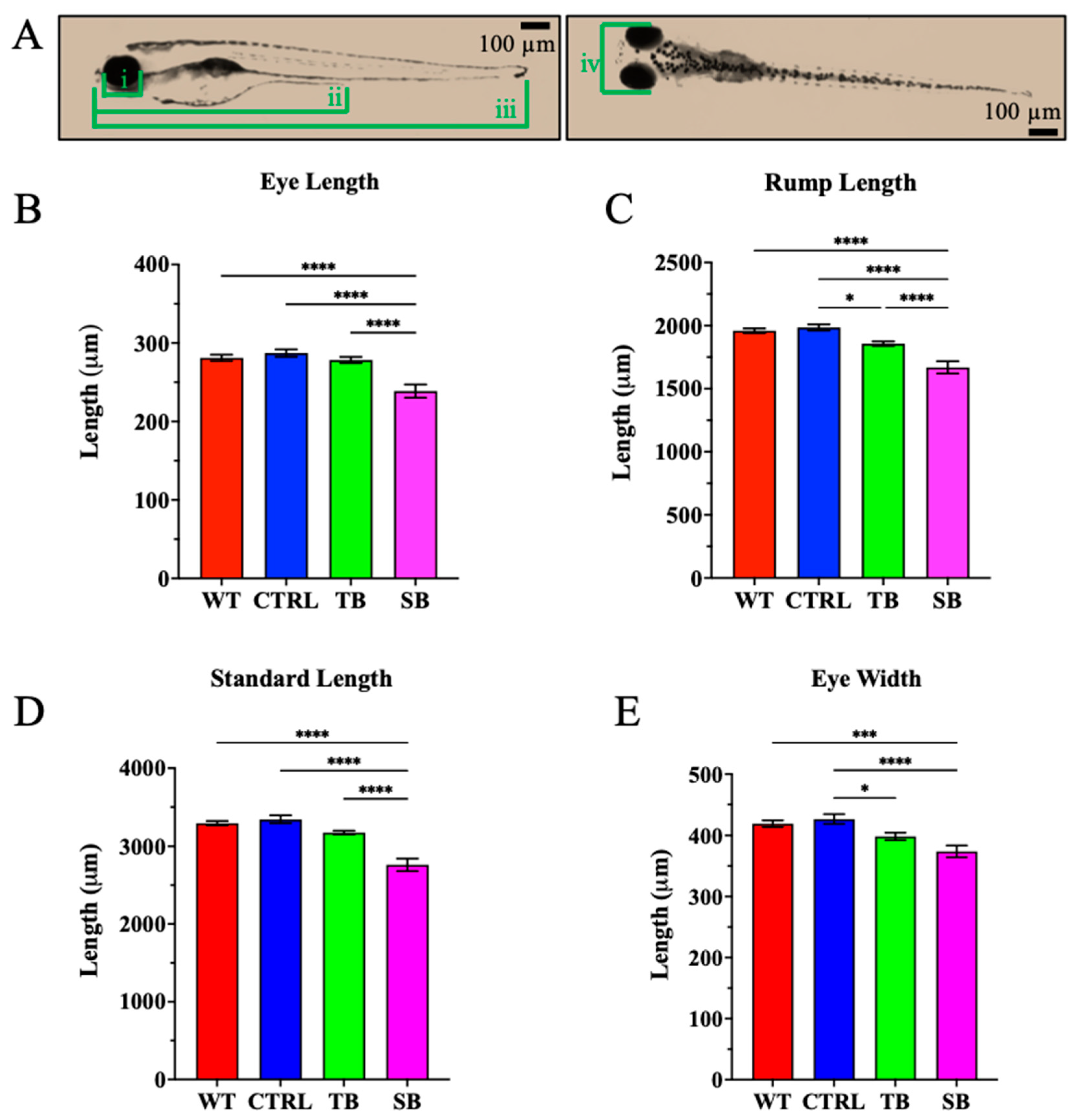 Biomolecules 14 00914 g004 Biomolecules 14 00914 g004