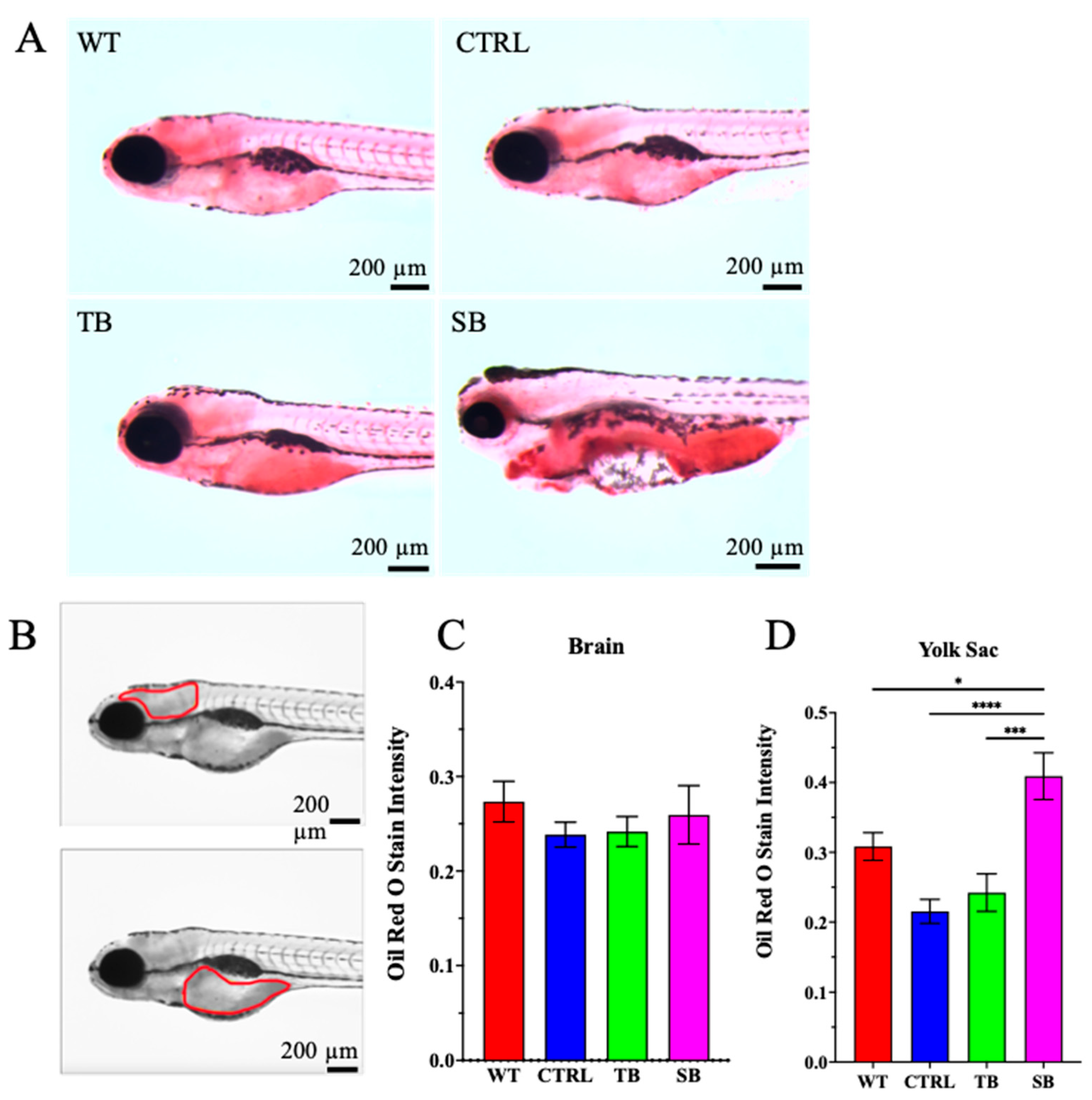 Biomolecules 14 00914 g005 Biomolecules 14 00914 g005