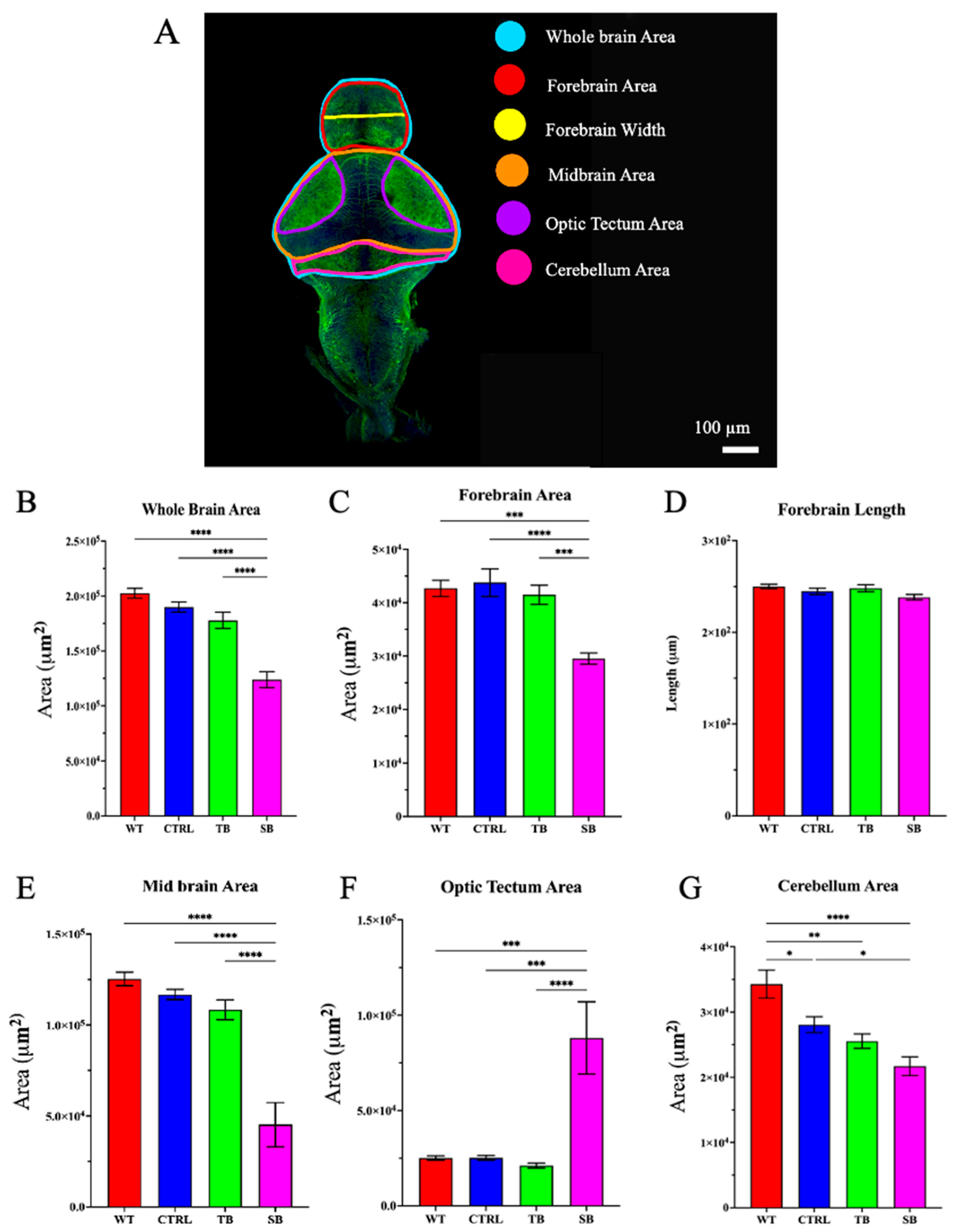 Biomolecules 14 00914 g007 Biomolecules 14 00914 g007