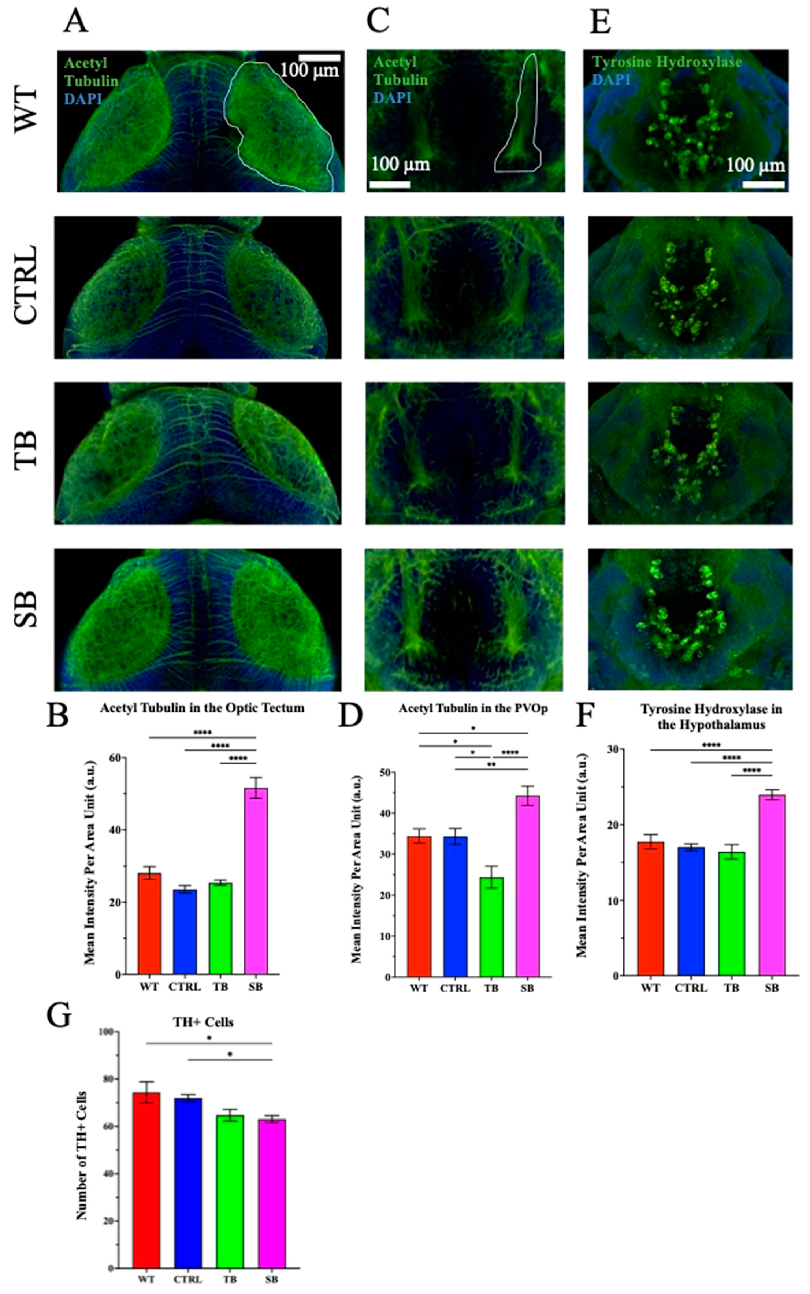 Biomolecules 14 00914 g008 Biomolecules 14 00914 g008