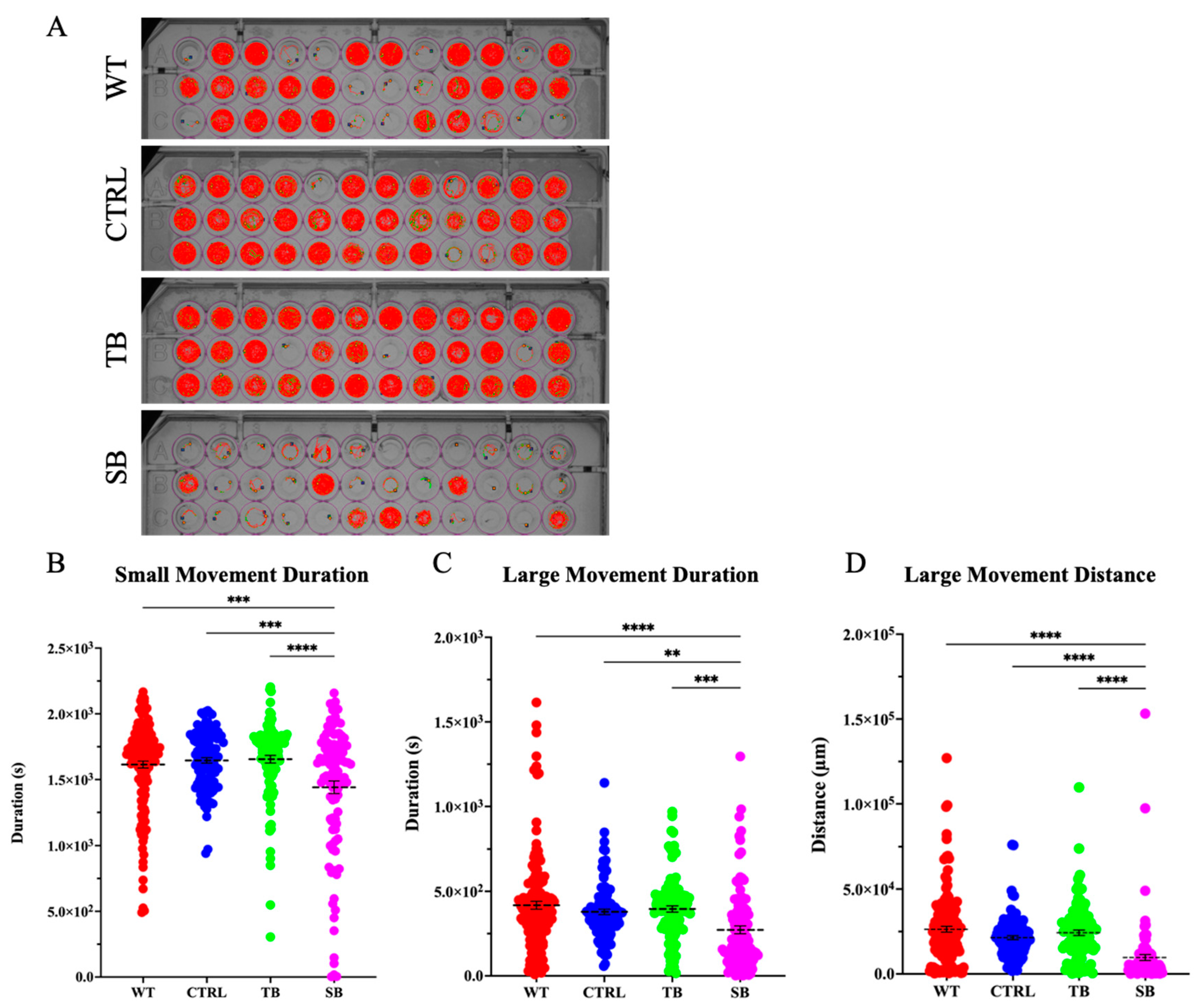 Biomolecules 14 00914 g010 Biomolecules 14 00914 g010