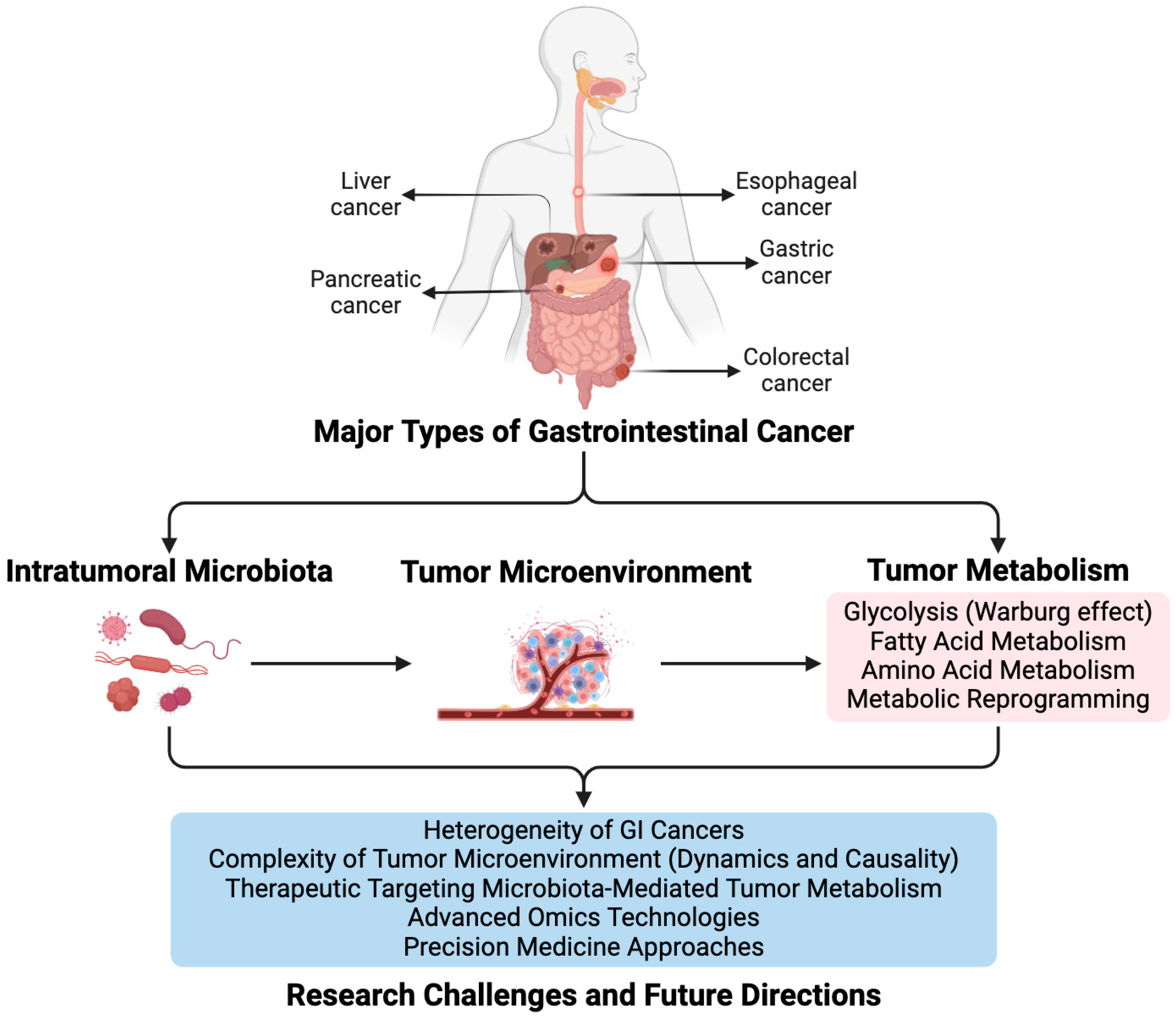 Biomolecules 14 00917 g001
