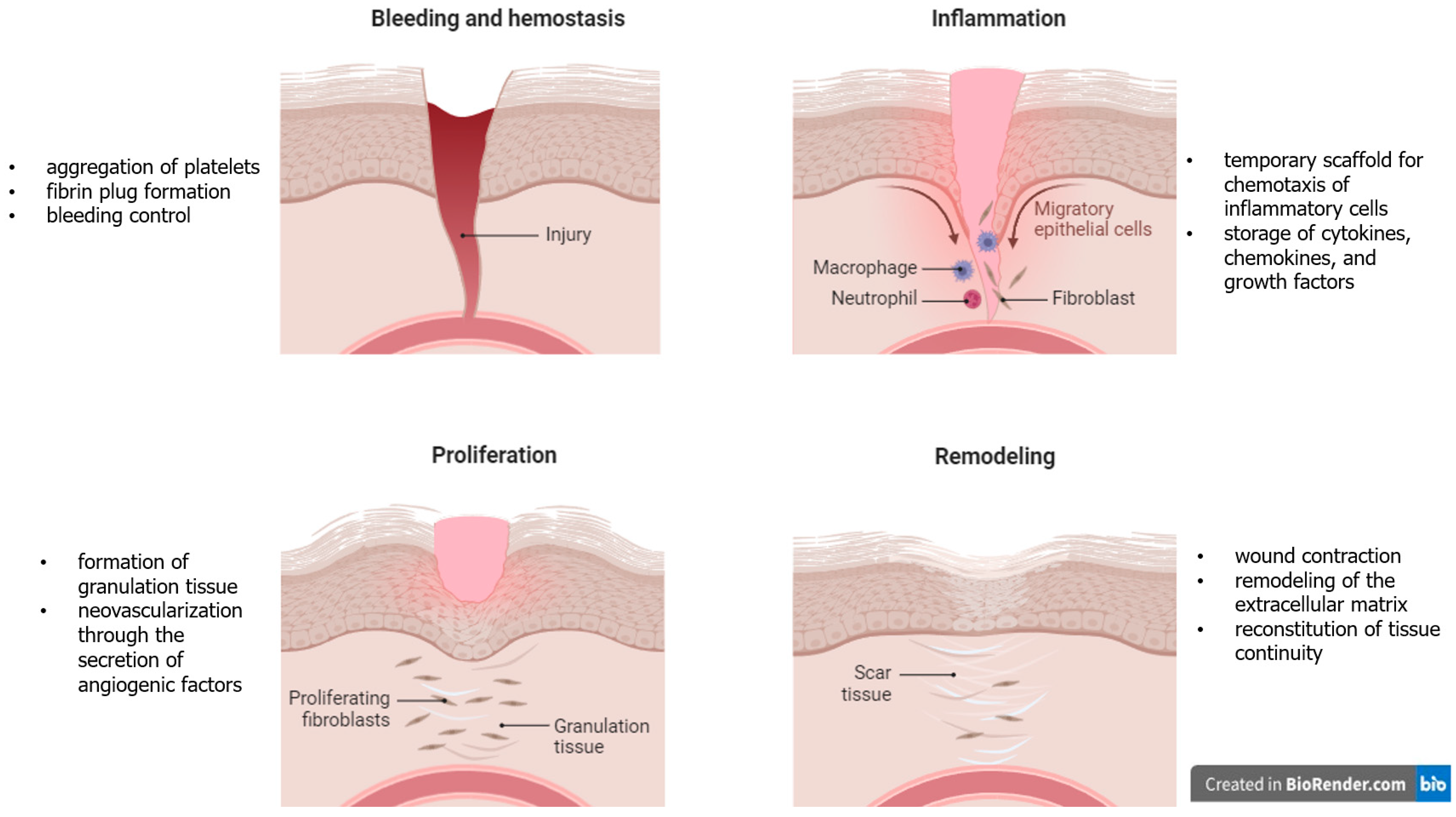 Biomolecules 14 00921 g002 Biomolecules 14 00921 g002