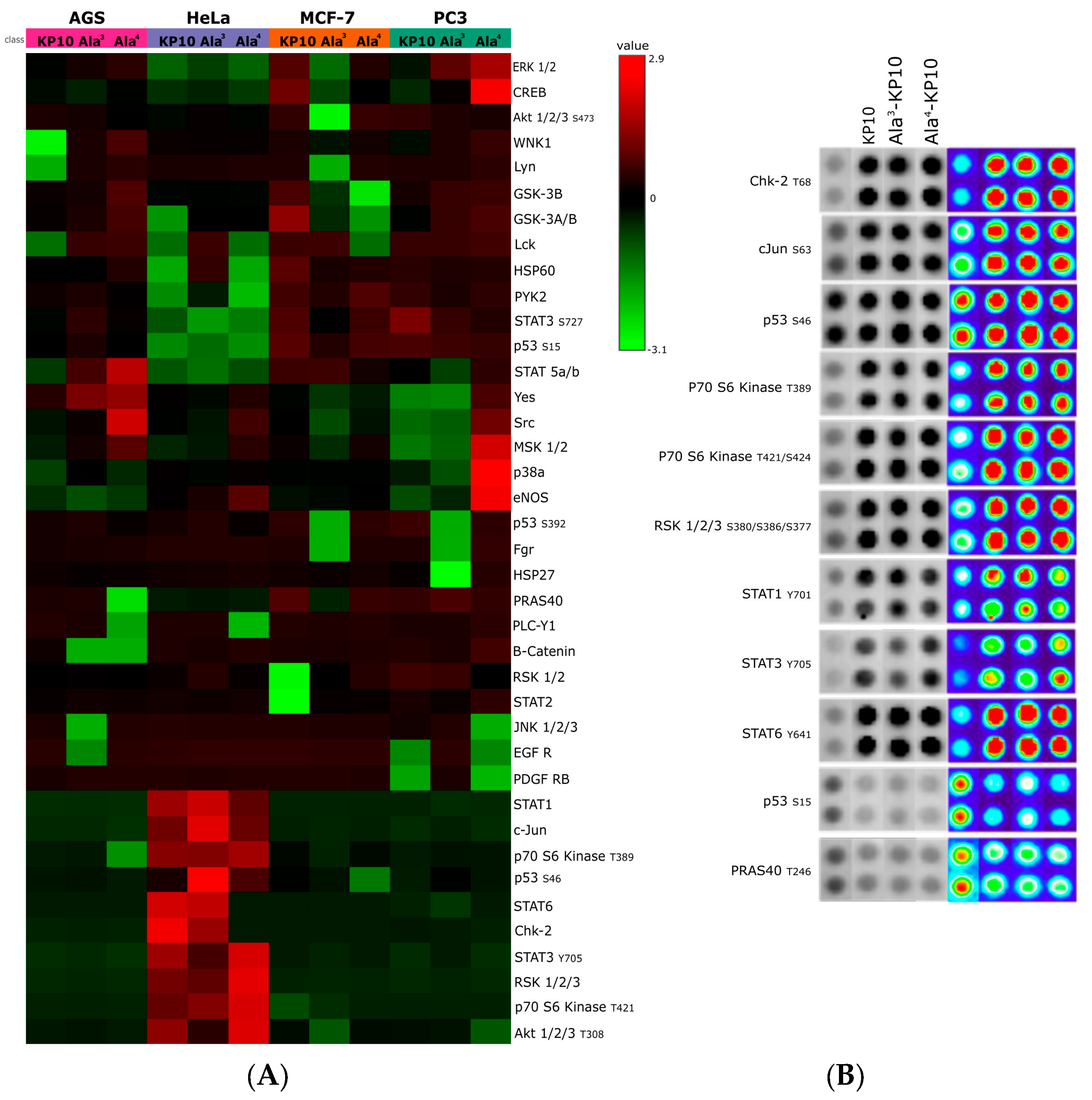 Biomolecules 14 00923 g001