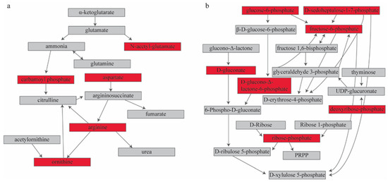 Integrated Multi-Omics Analysis of Cerebrospinal Fluid in
