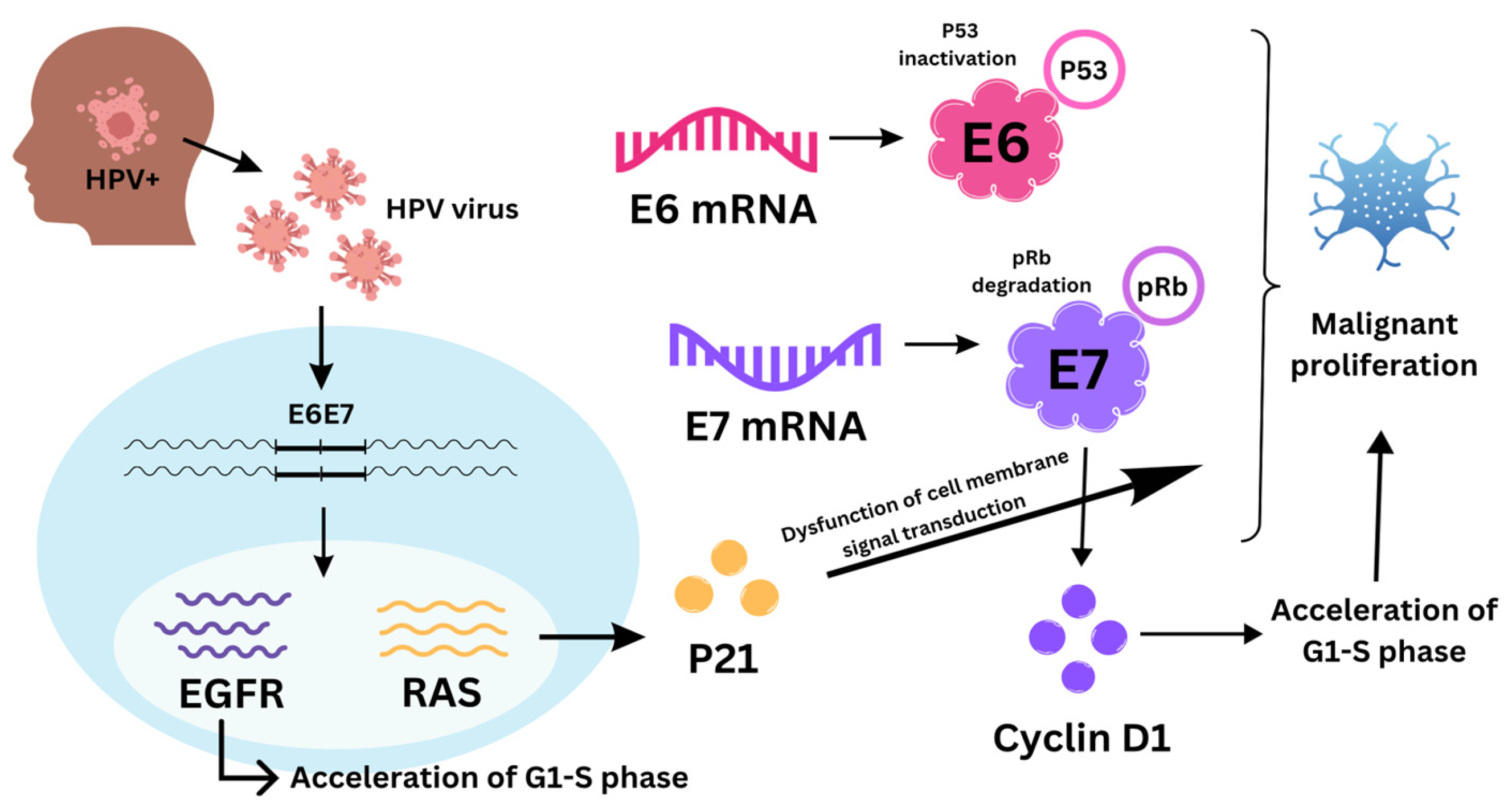 Biomolecules 14 00925 g001