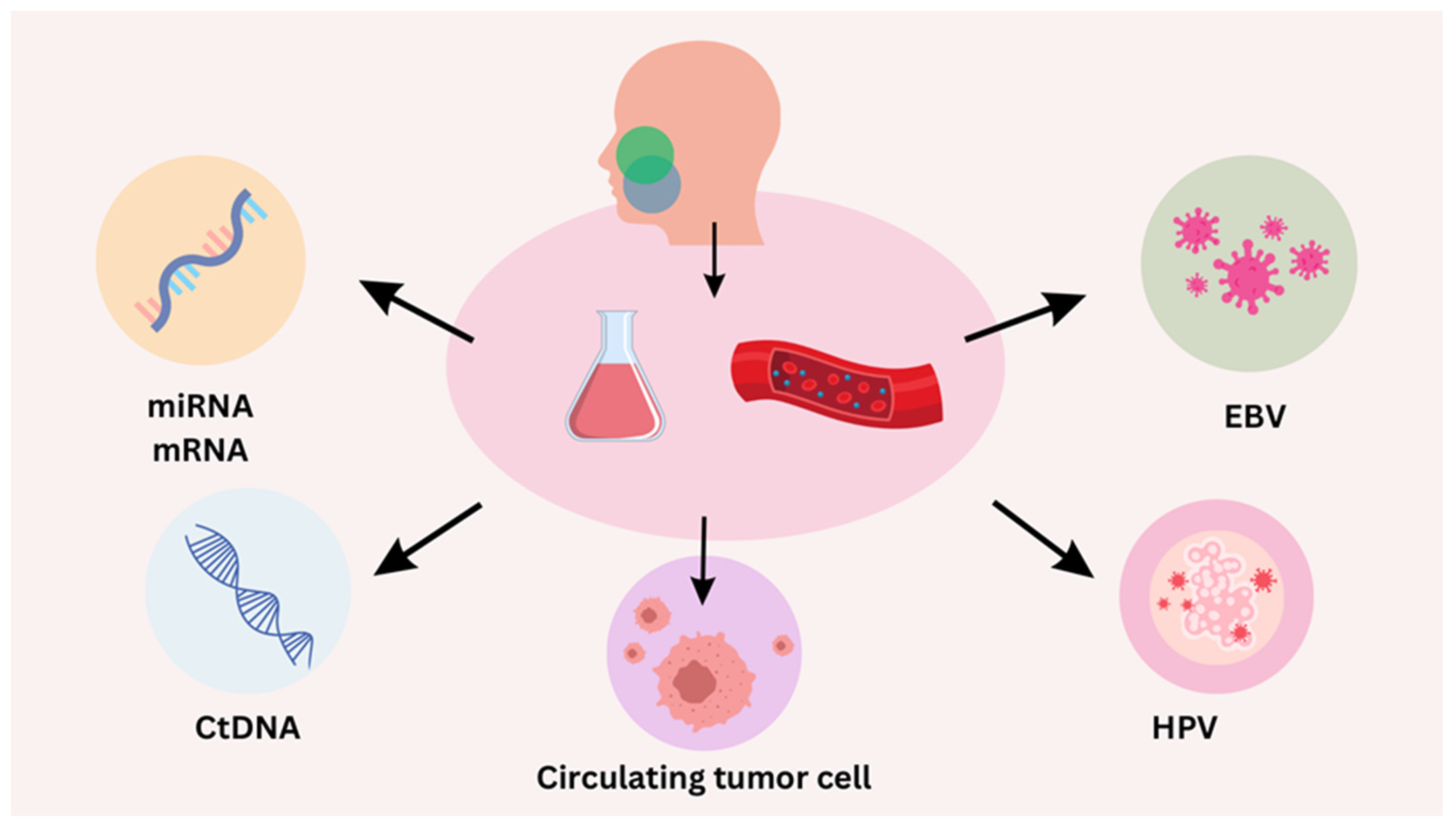 Biomolecules 14 00925 g002