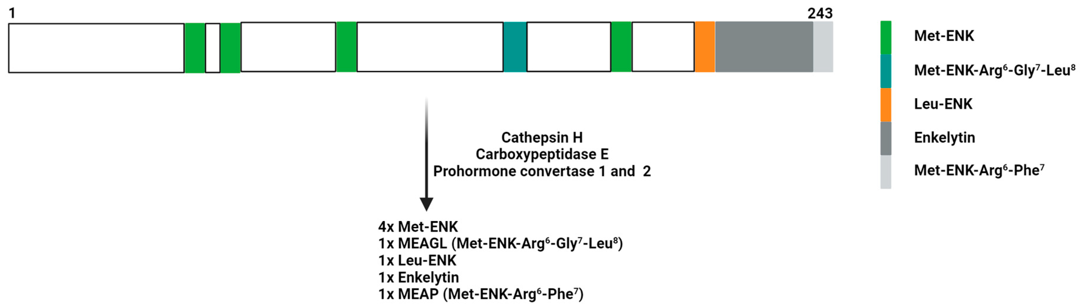Biomolecules 14 00926 g001 Biomolecules 14 00926 g001