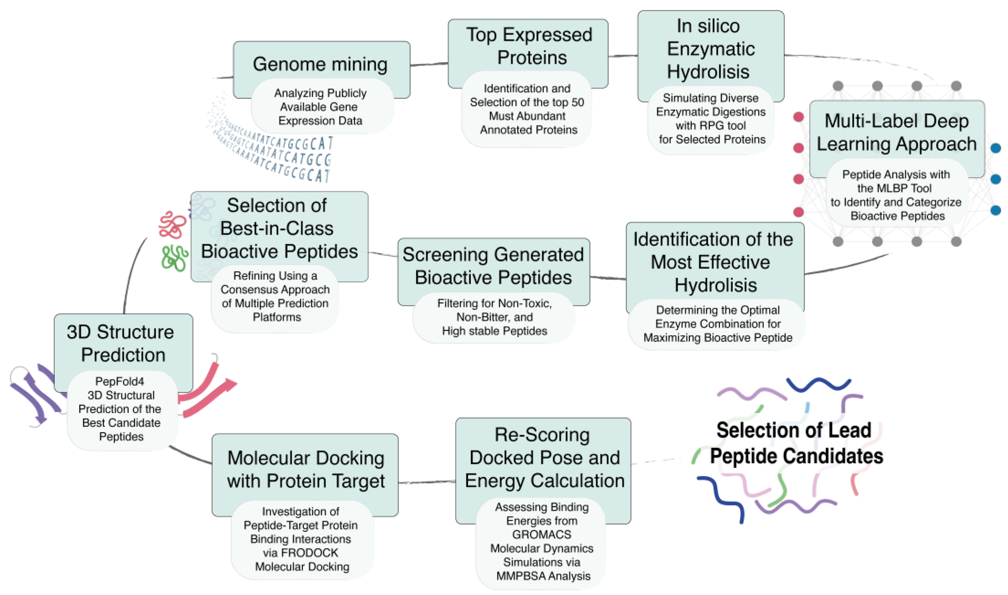 Biomolecules 14 00930 g001