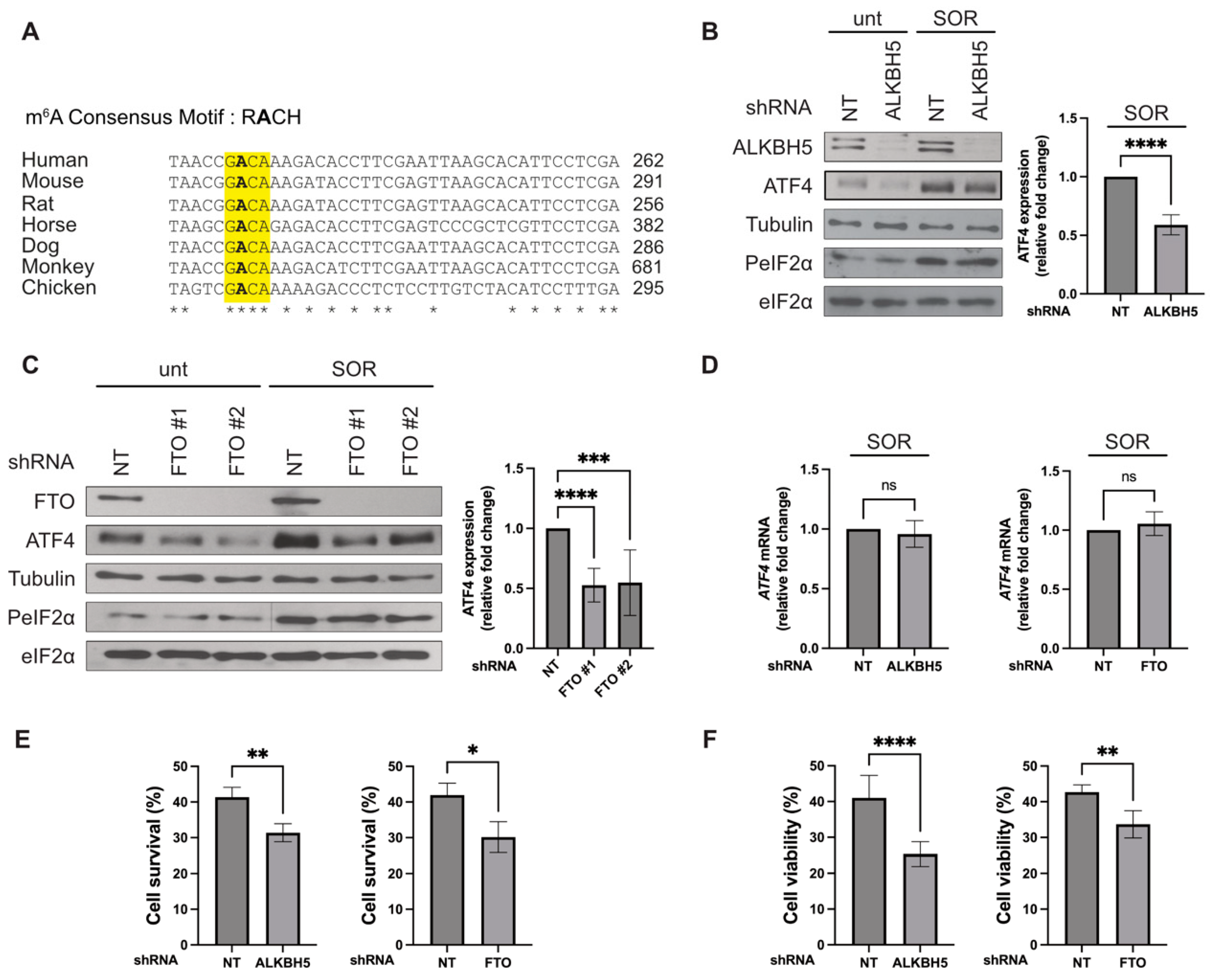 Biomolecules 14 00932 g001 Biomolecules 14 00932 g001