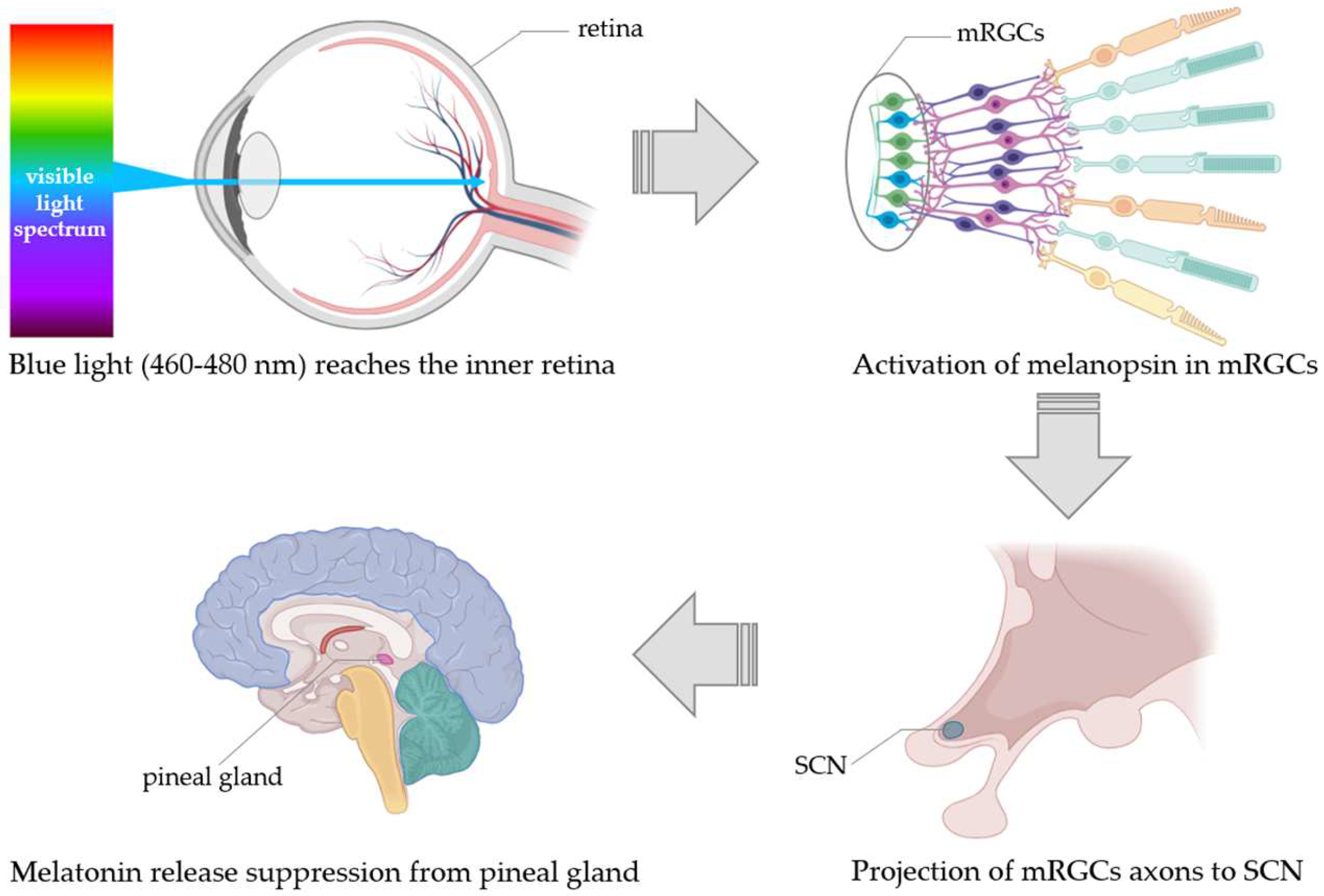 Biomolecules 14 00934 g002