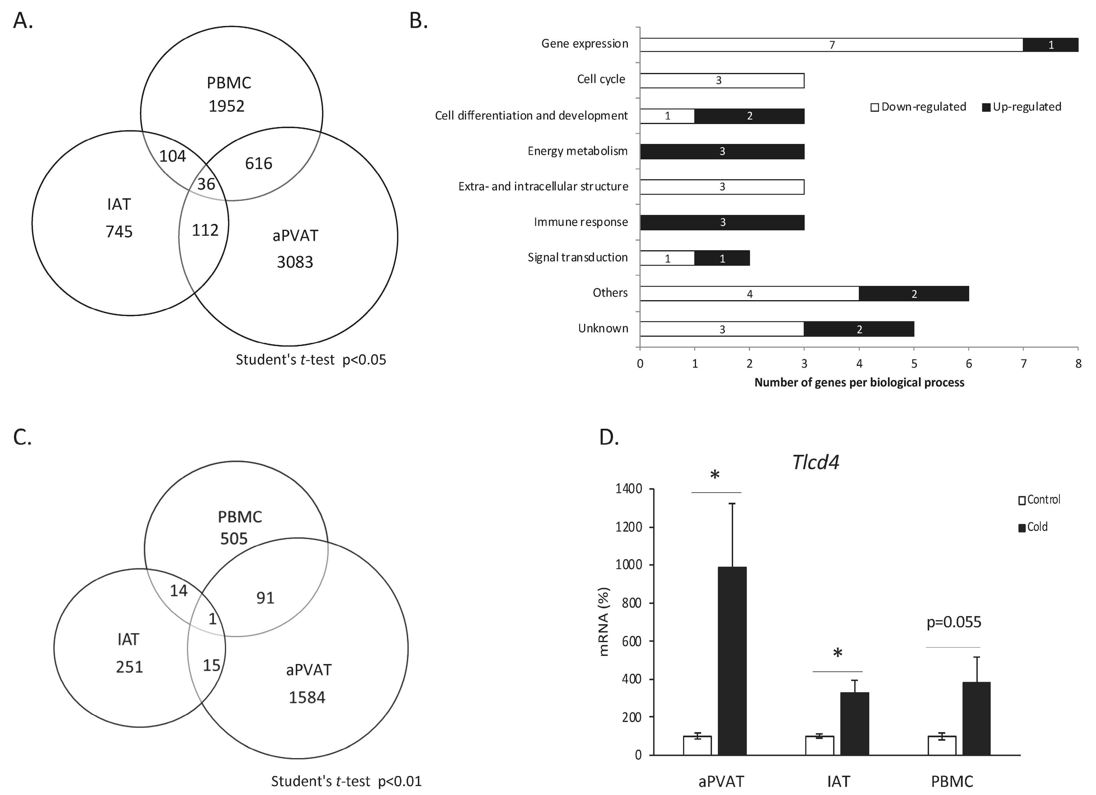 Biomolecules 14 00935 g001
