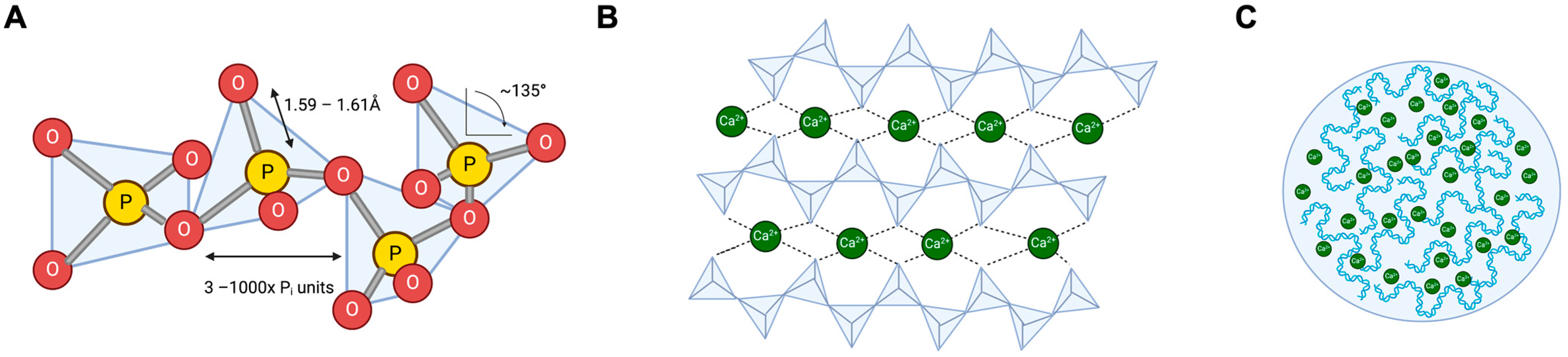 Biomolecules 14 00937 g001