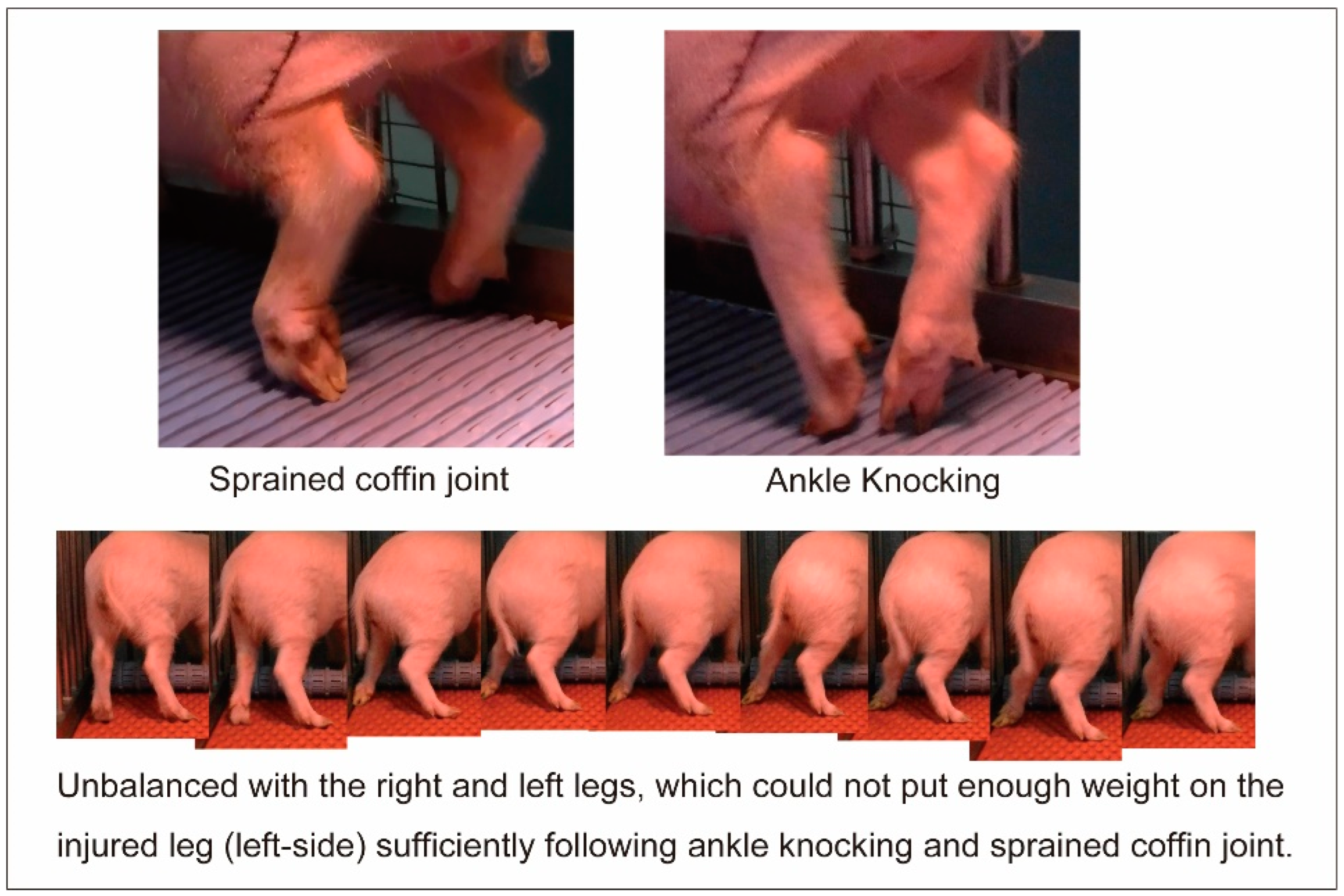 Biomolecules 14 00939 g002