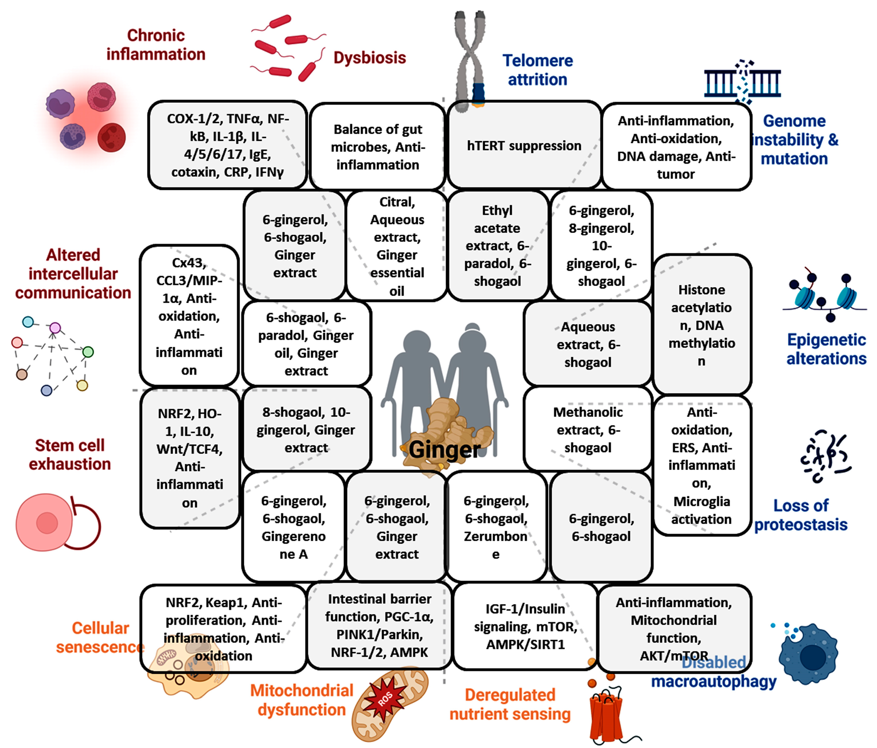 Biomolecules 14 00940 g001
