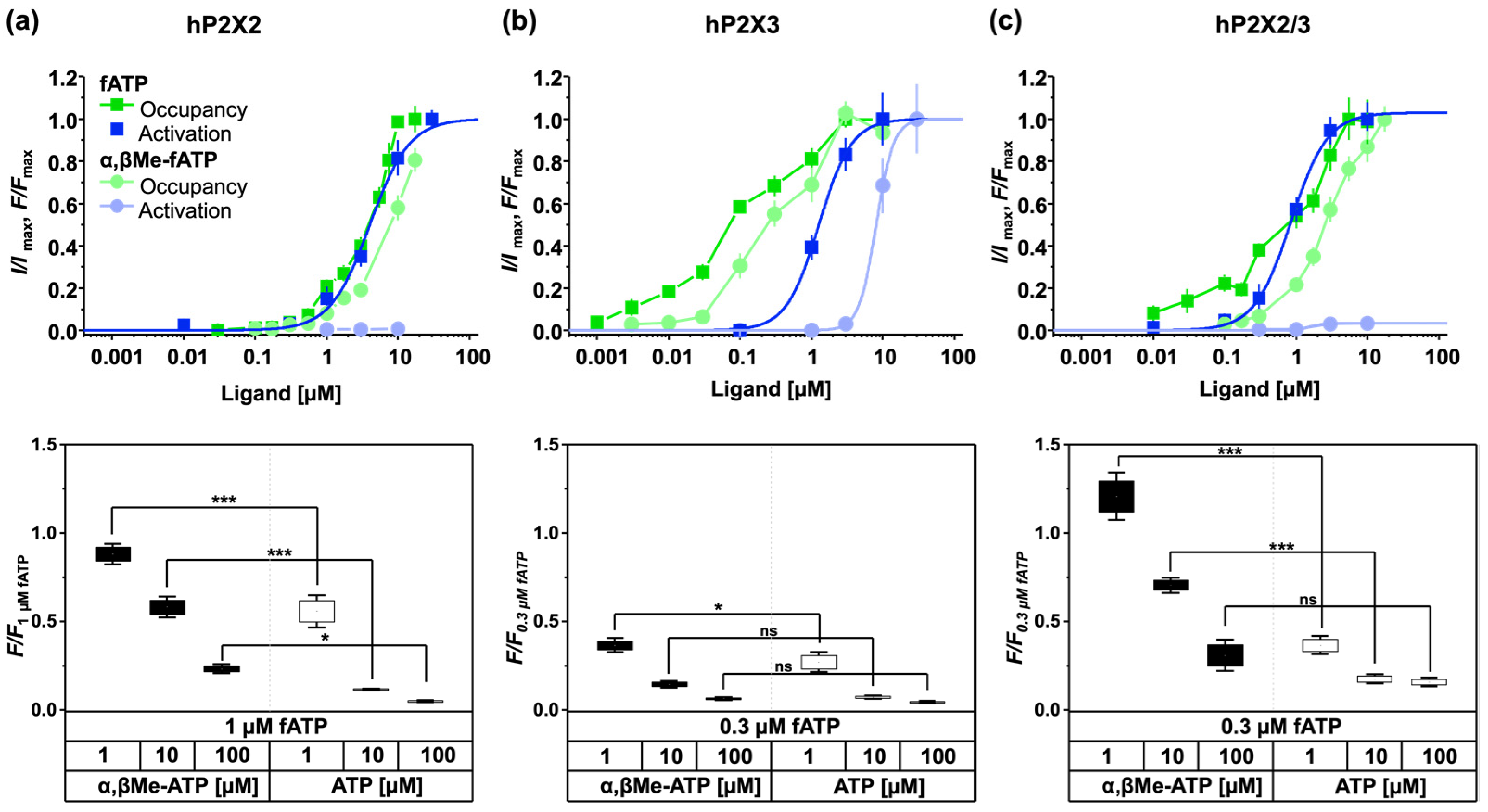 Biomolecules 14 00942 g004