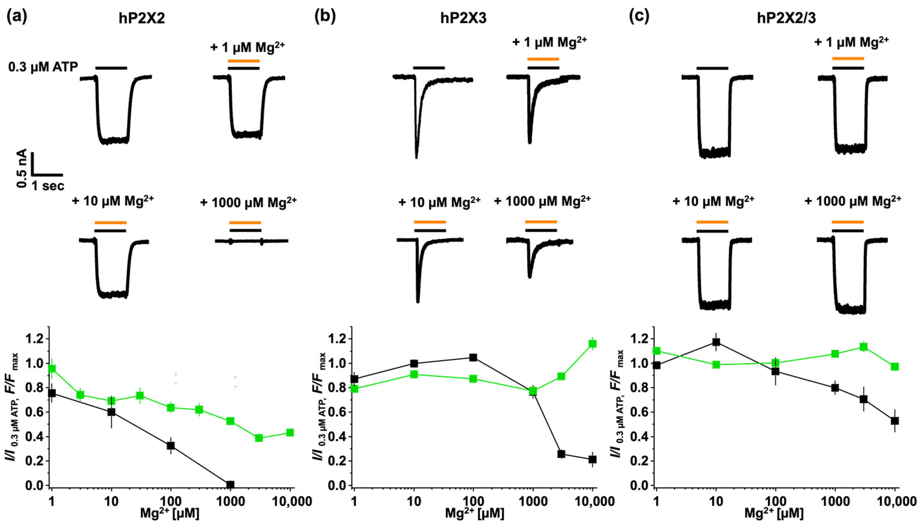 Biomolecules 14 00942 g006