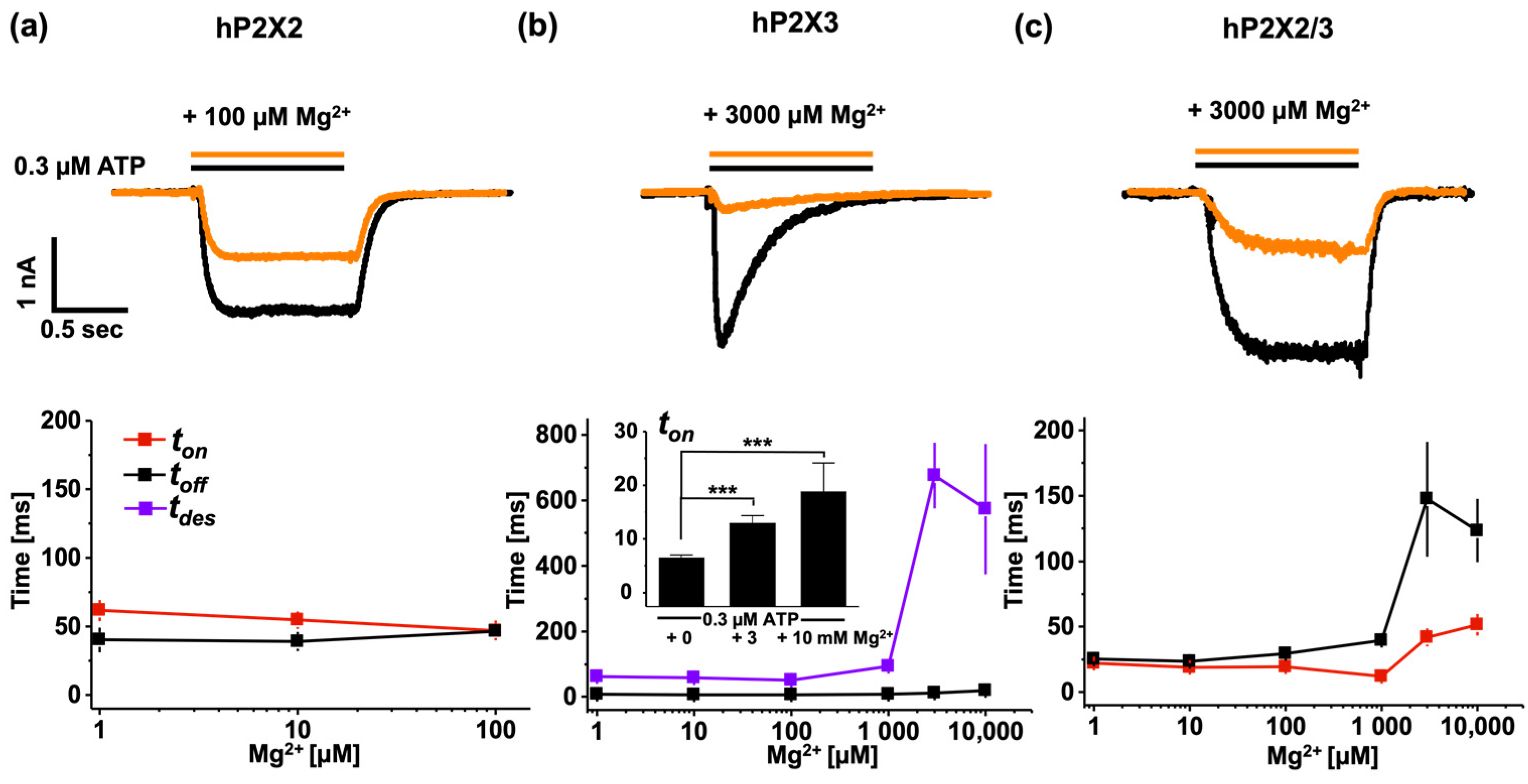 Biomolecules 14 00942 g007