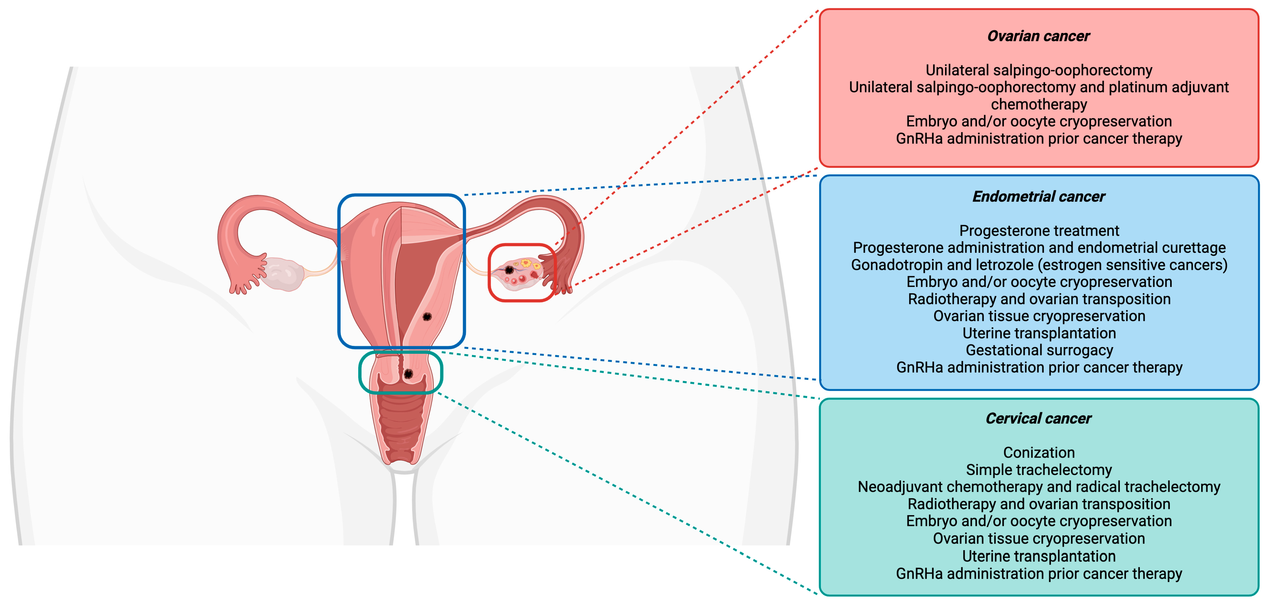 Biomolecules 14 00943 g001