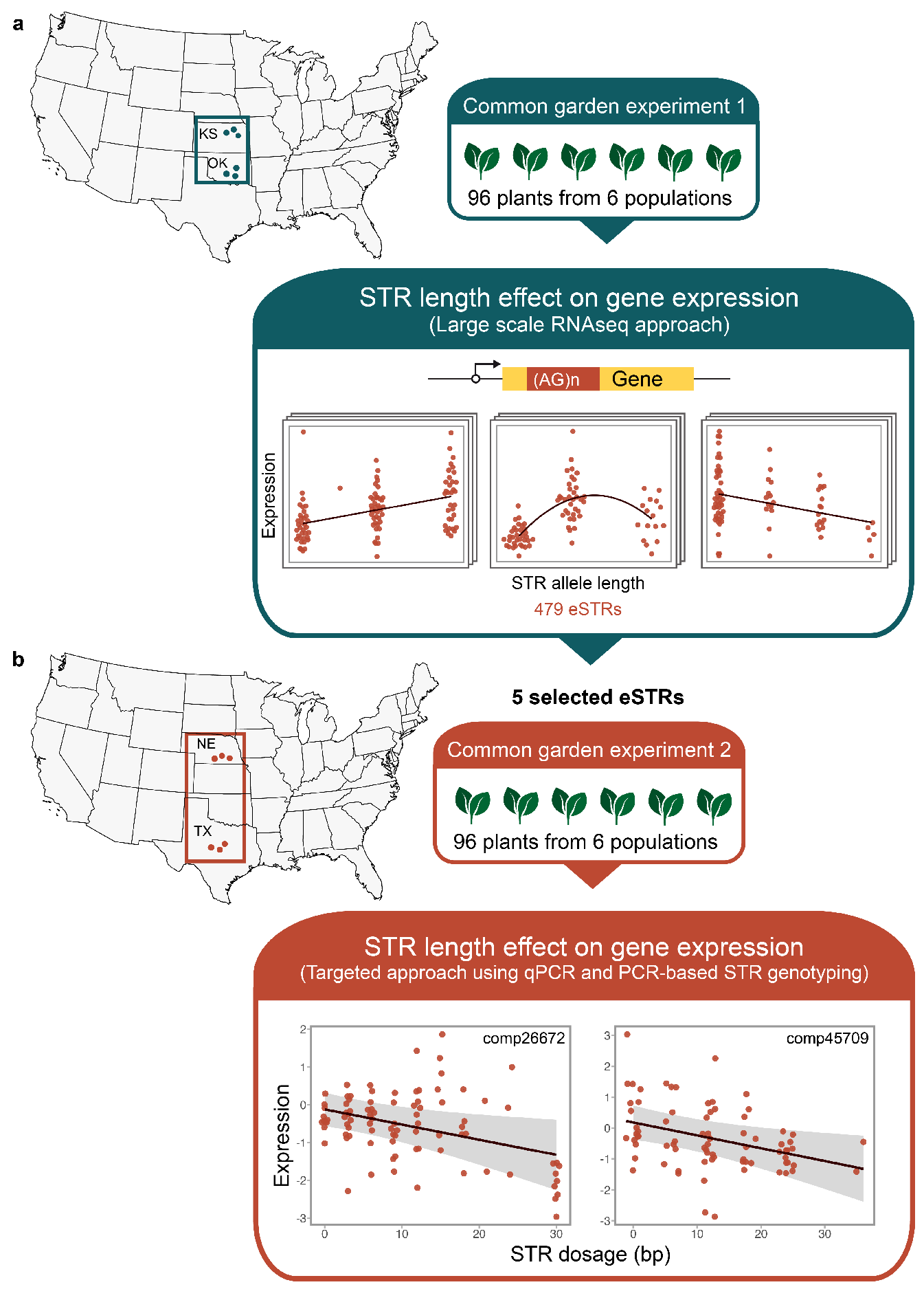 Biomolecules 14 00944 g001