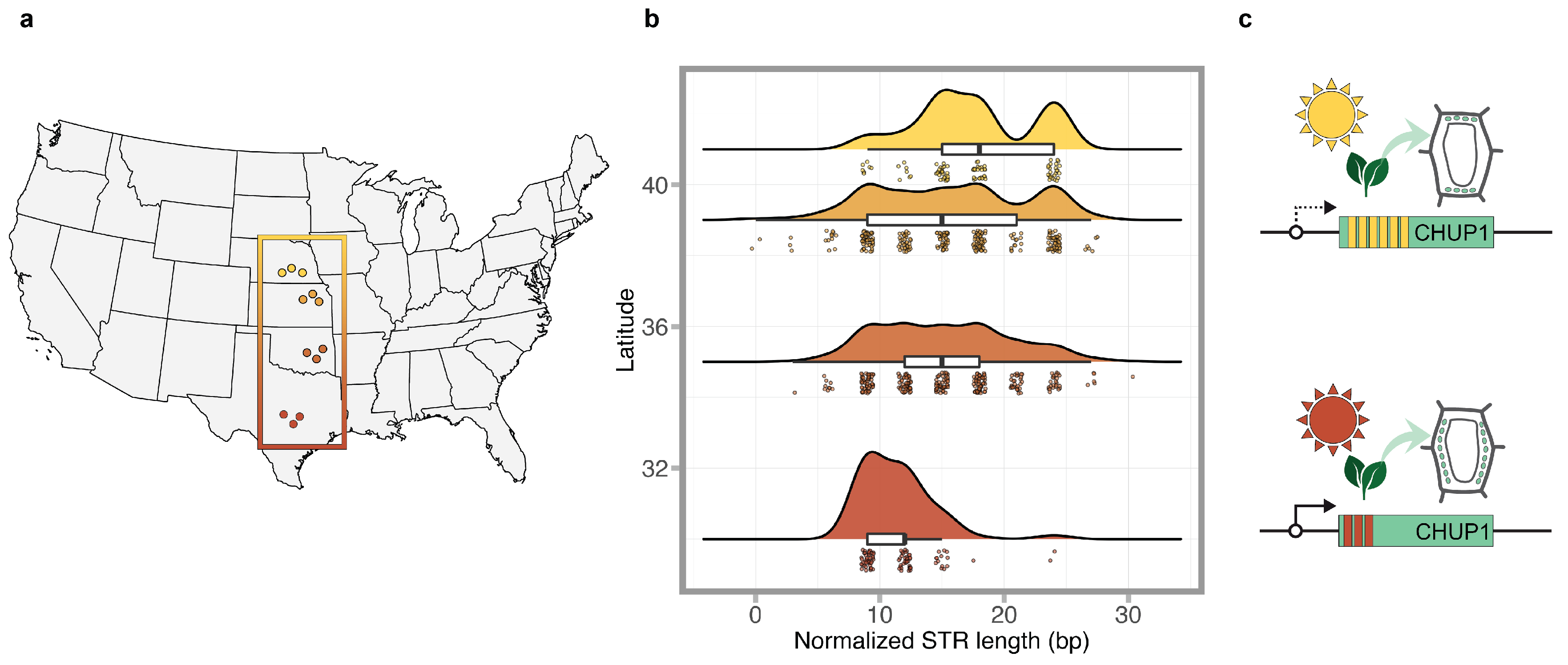 Biomolecules 14 00944 g003