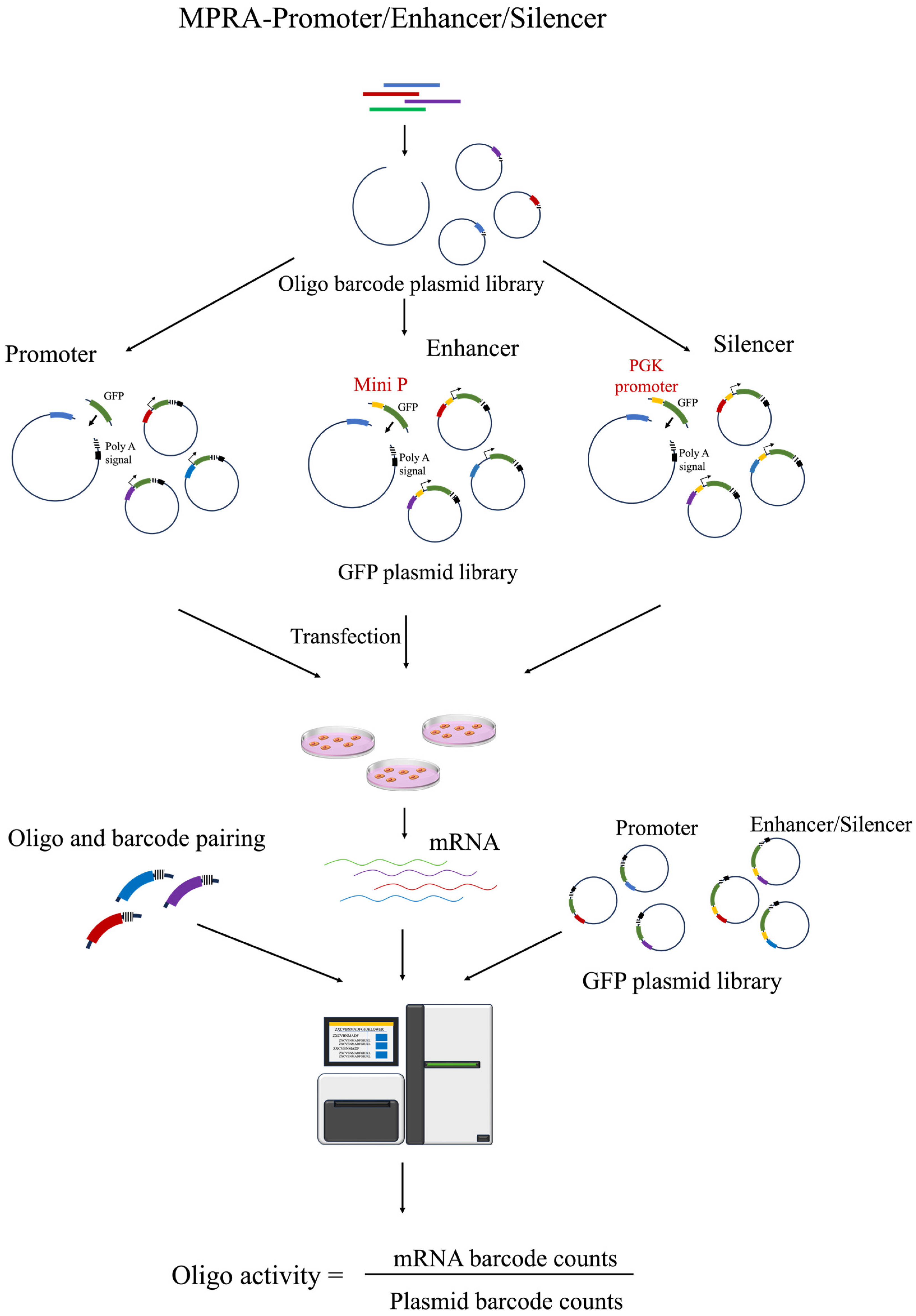 Biomolecules 14 00945 g001