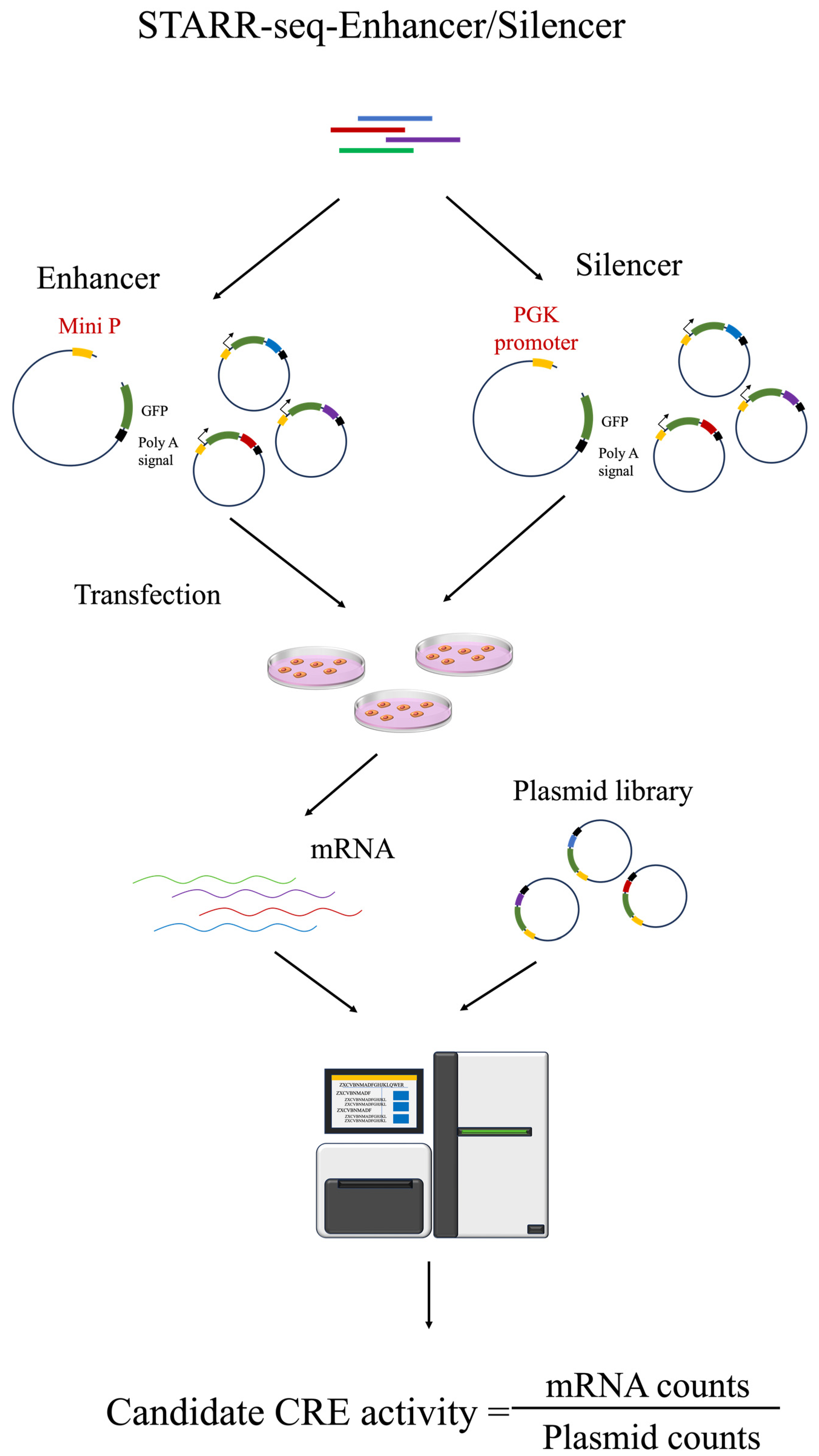 Biomolecules 14 00945 g002