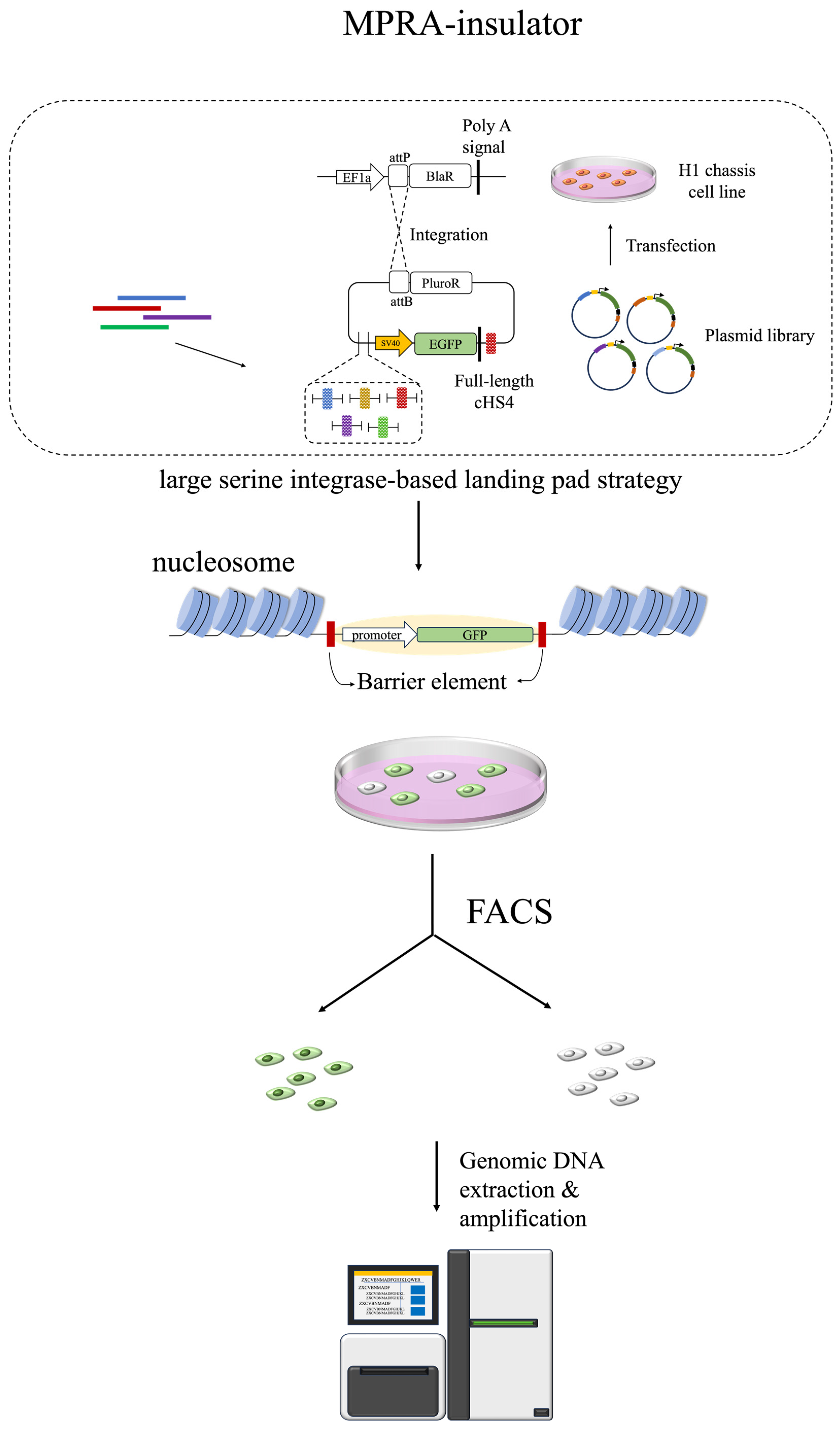 Biomolecules 14 00945 g003
